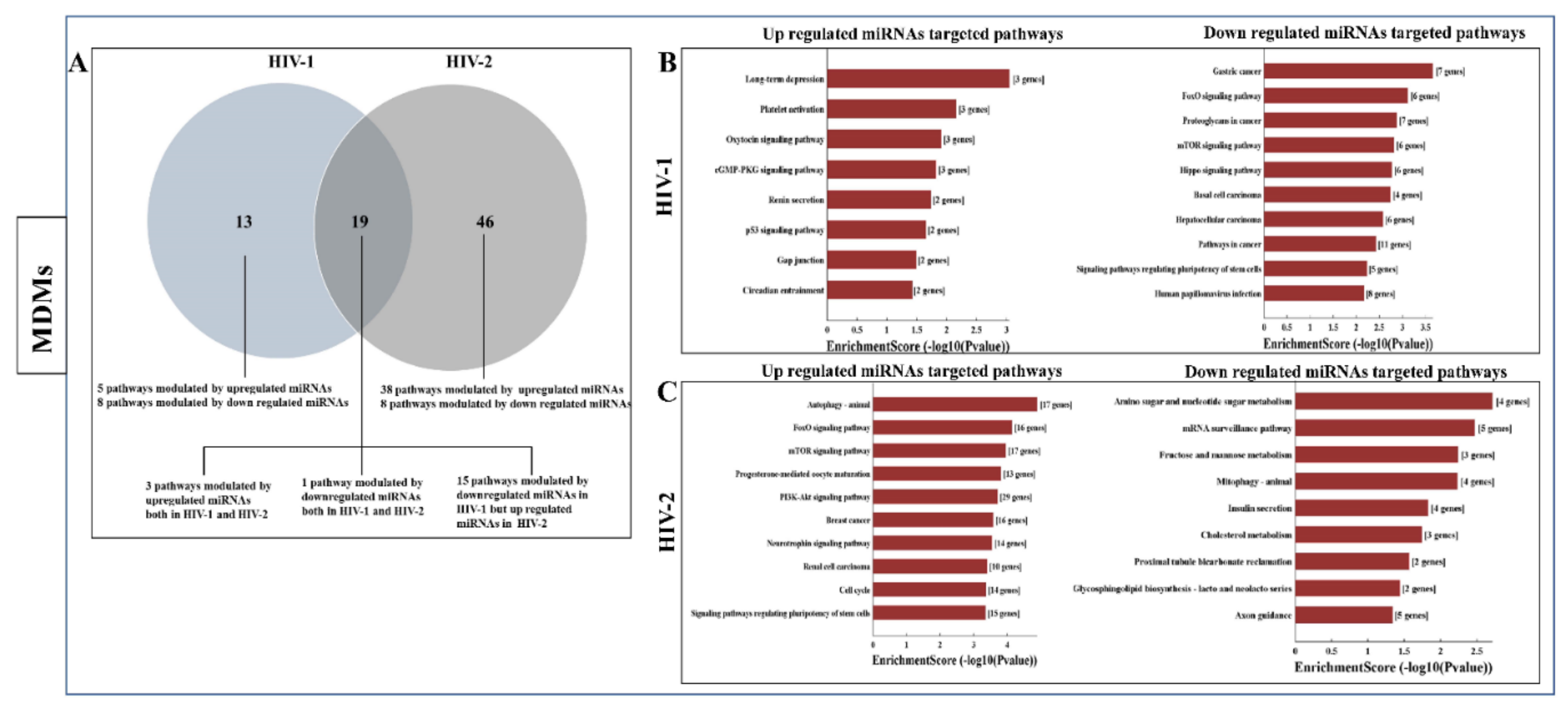 Ijms 21 06970 g006a Ijms 21 06970 g006a