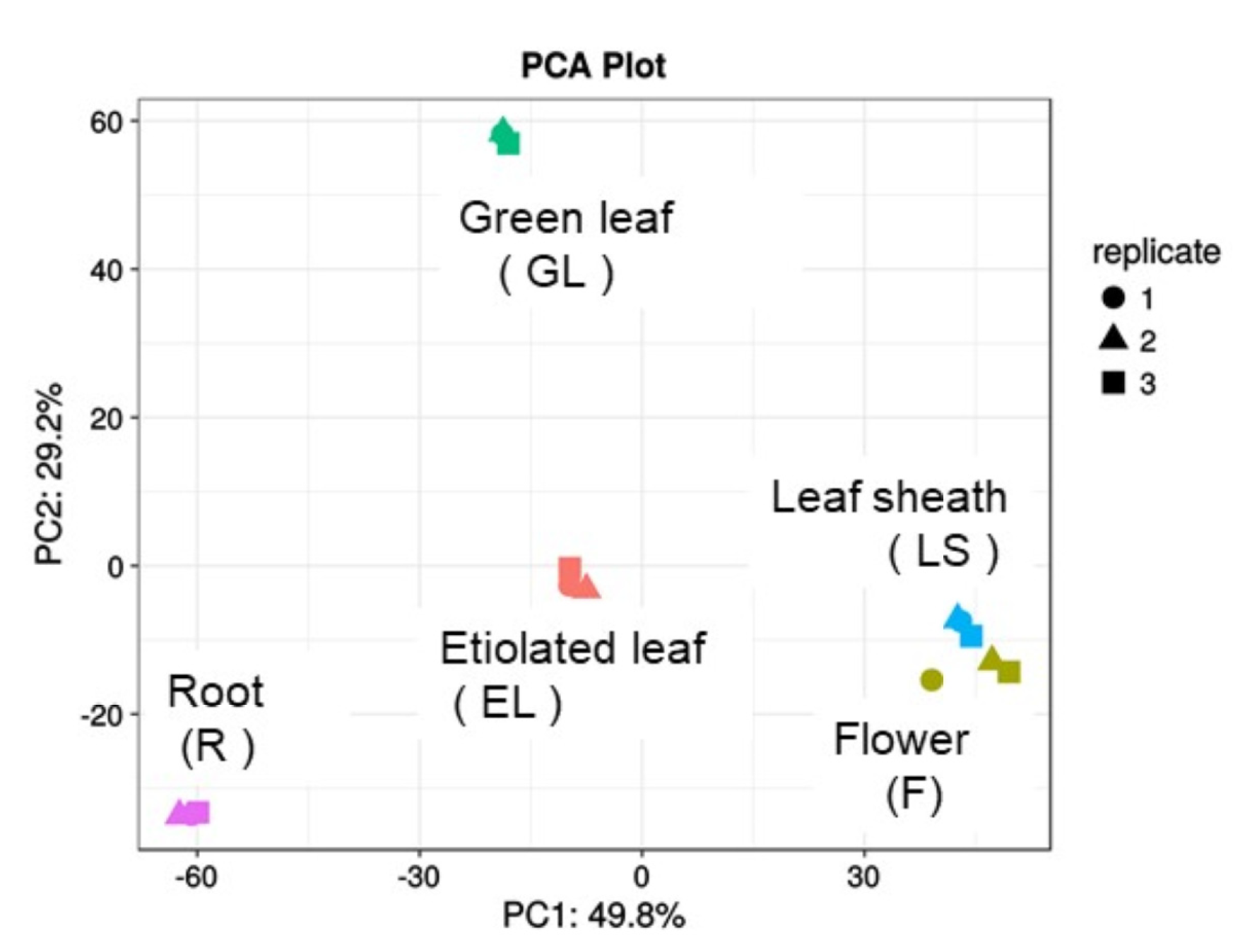 Ijms 21 06988 g003 Ijms 21 06988 g003