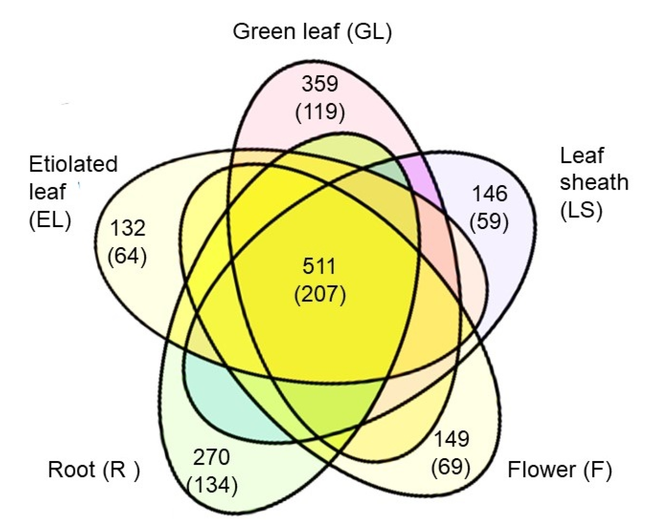 Ijms 21 06988 g004 Ijms 21 06988 g004