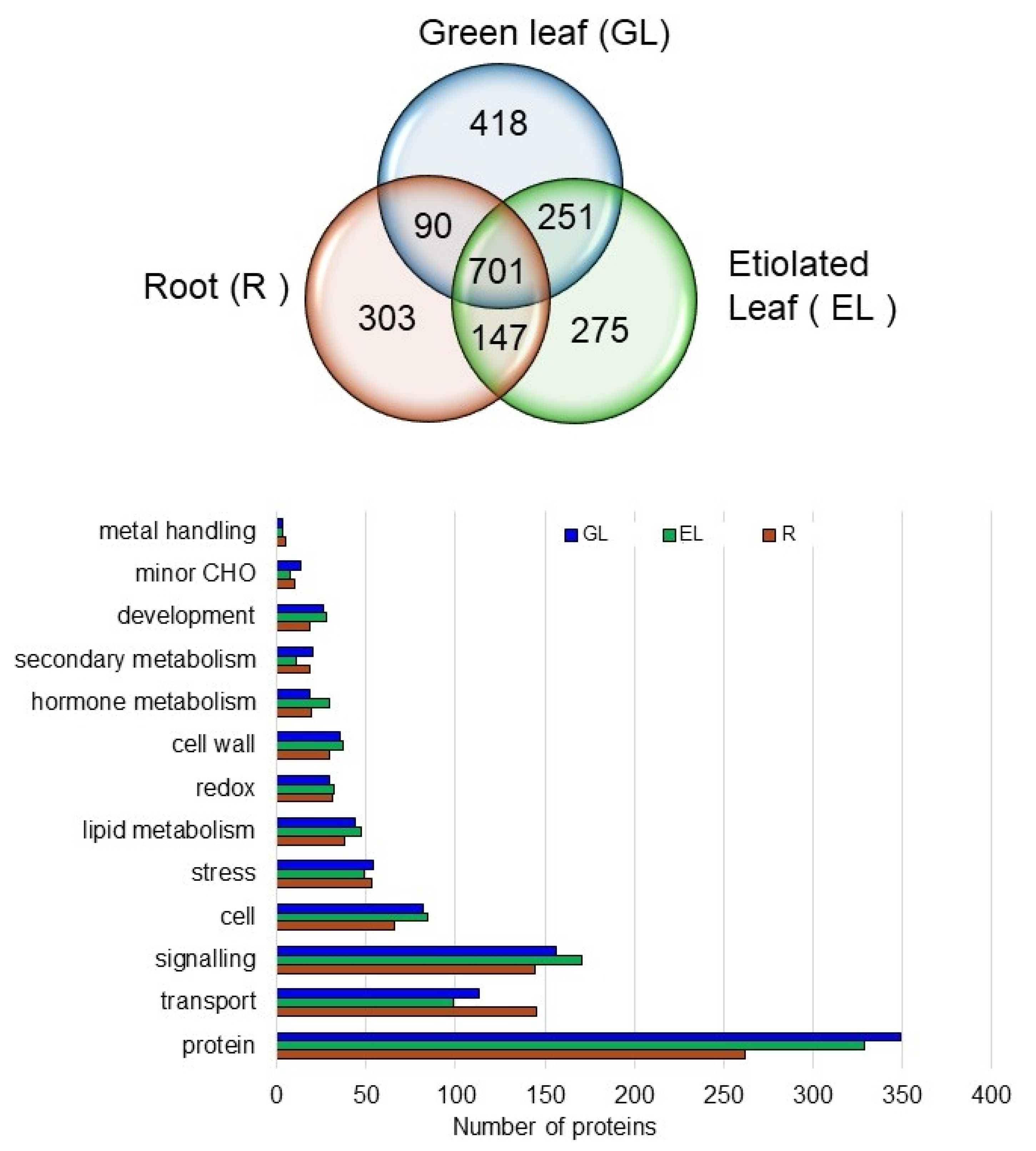 Ijms 21 06988 g005 Ijms 21 06988 g005