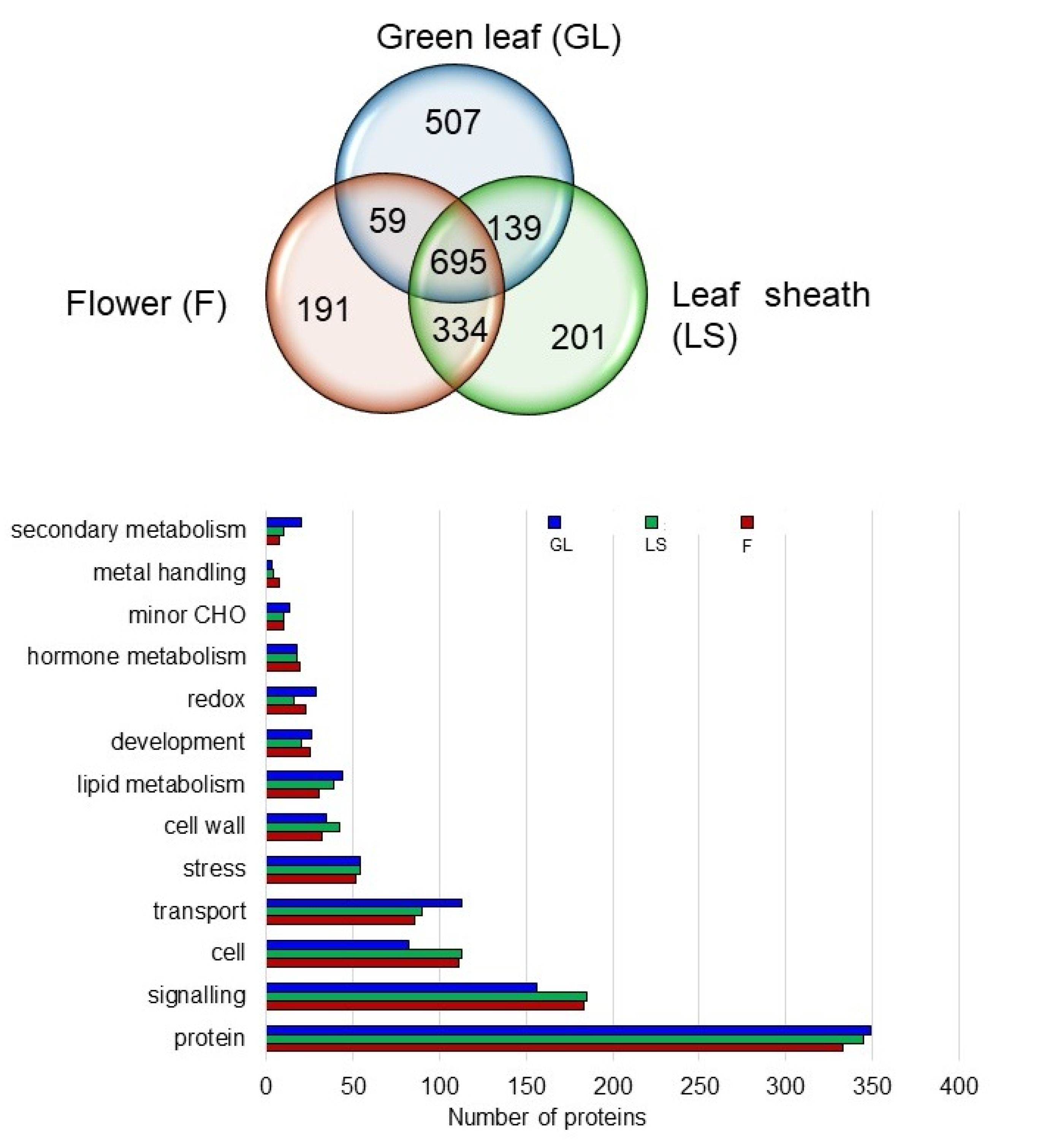 Ijms 21 06988 g006 Ijms 21 06988 g006