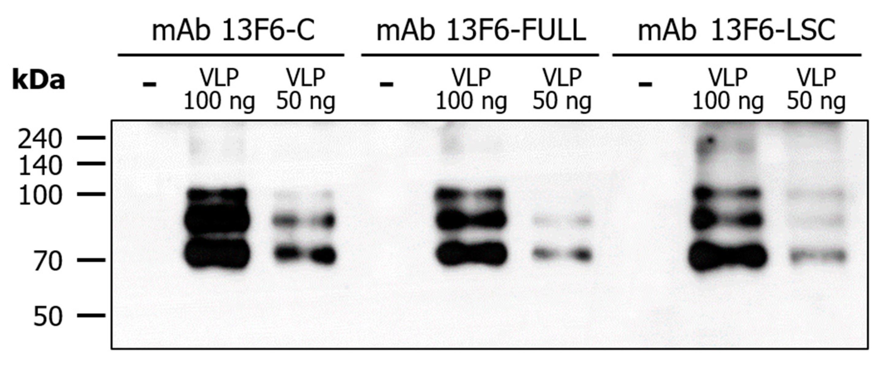 Ijms 21 07007 g006 Ijms 21 07007 g006