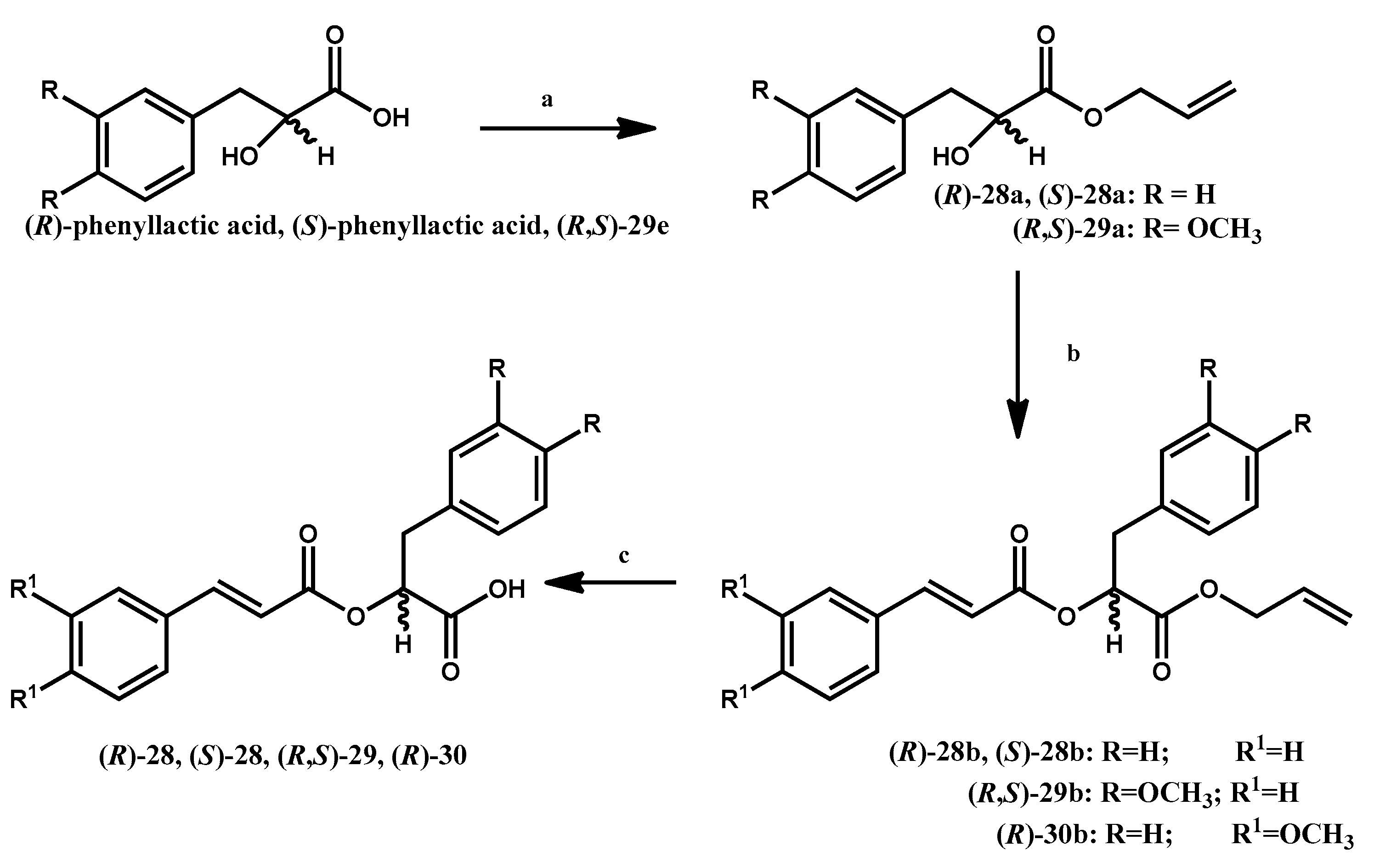 Ijms 21 07026 sch003