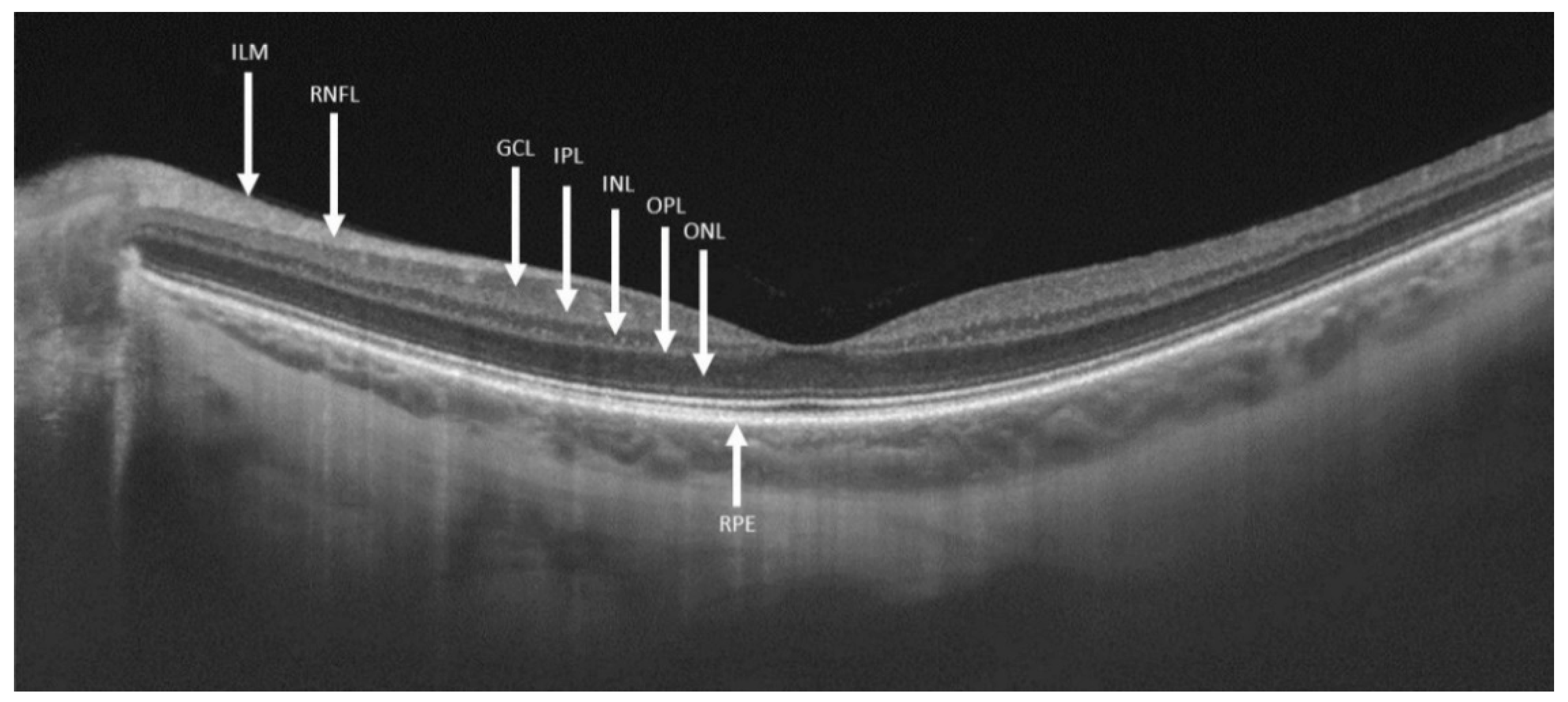 Ijms 21 07027 g001 Ijms 21 07027 g001