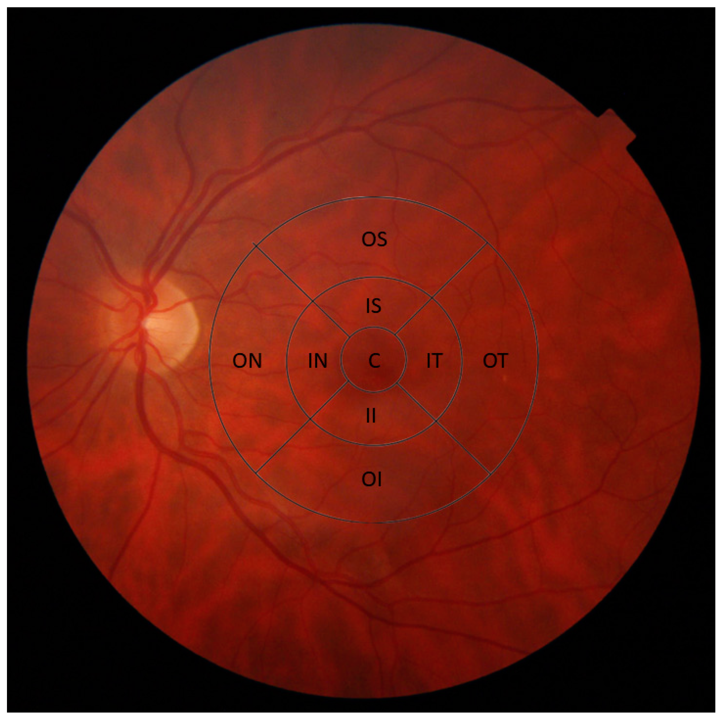 Ijms 21 07027 g002 Ijms 21 07027 g002