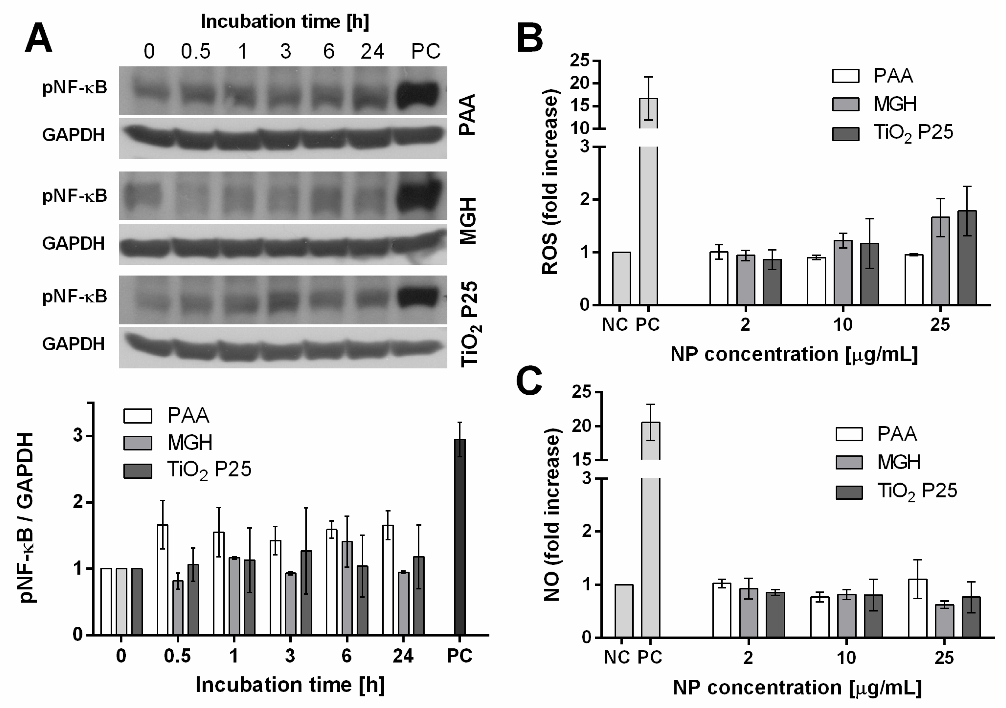 Ijms 21 07030 g003 Ijms 21 07030 g003