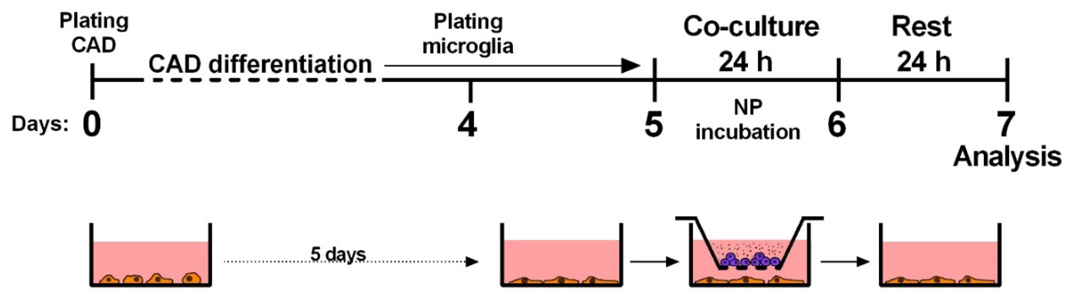 Ijms 21 07030 g006 Ijms 21 07030 g006