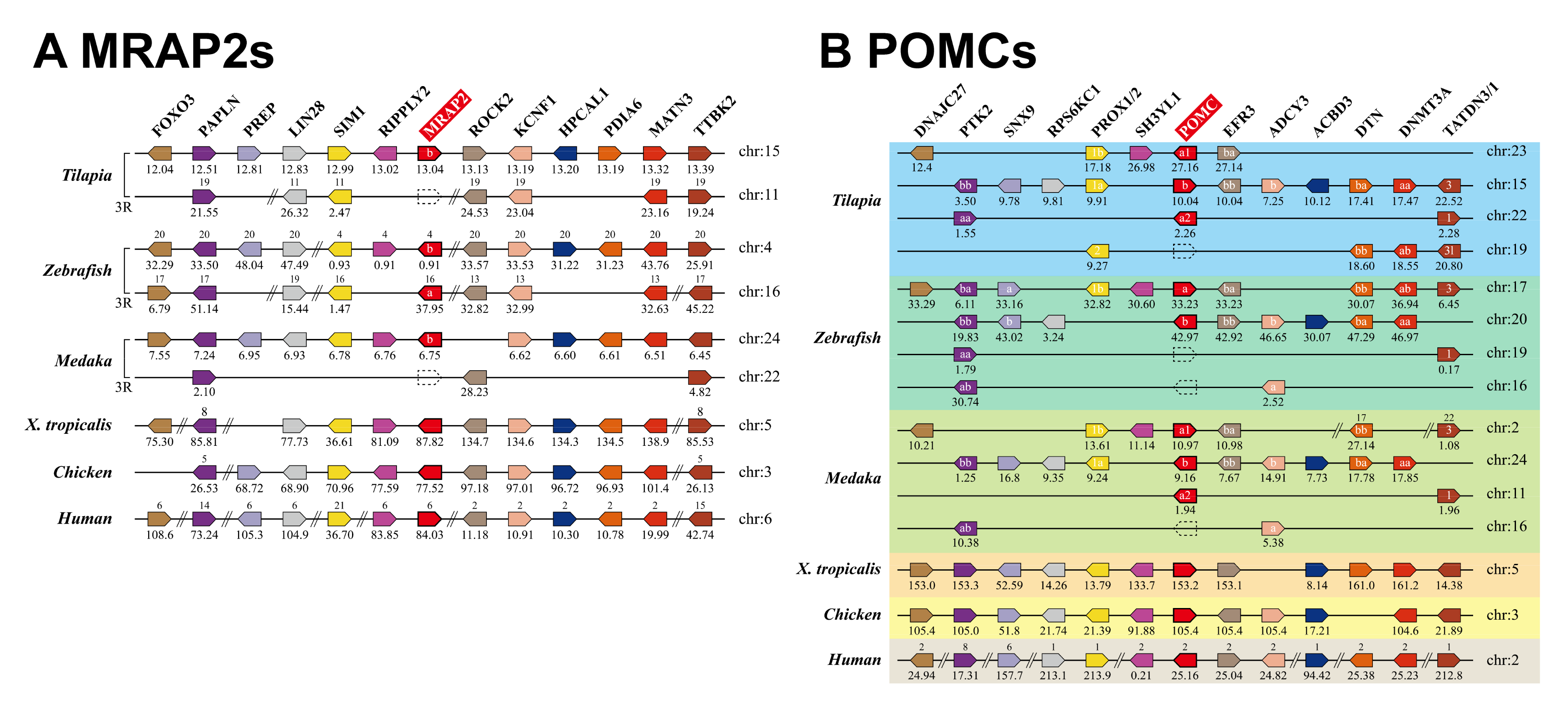 Ijms 21 07036 g001 Ijms 21 07036 g001
