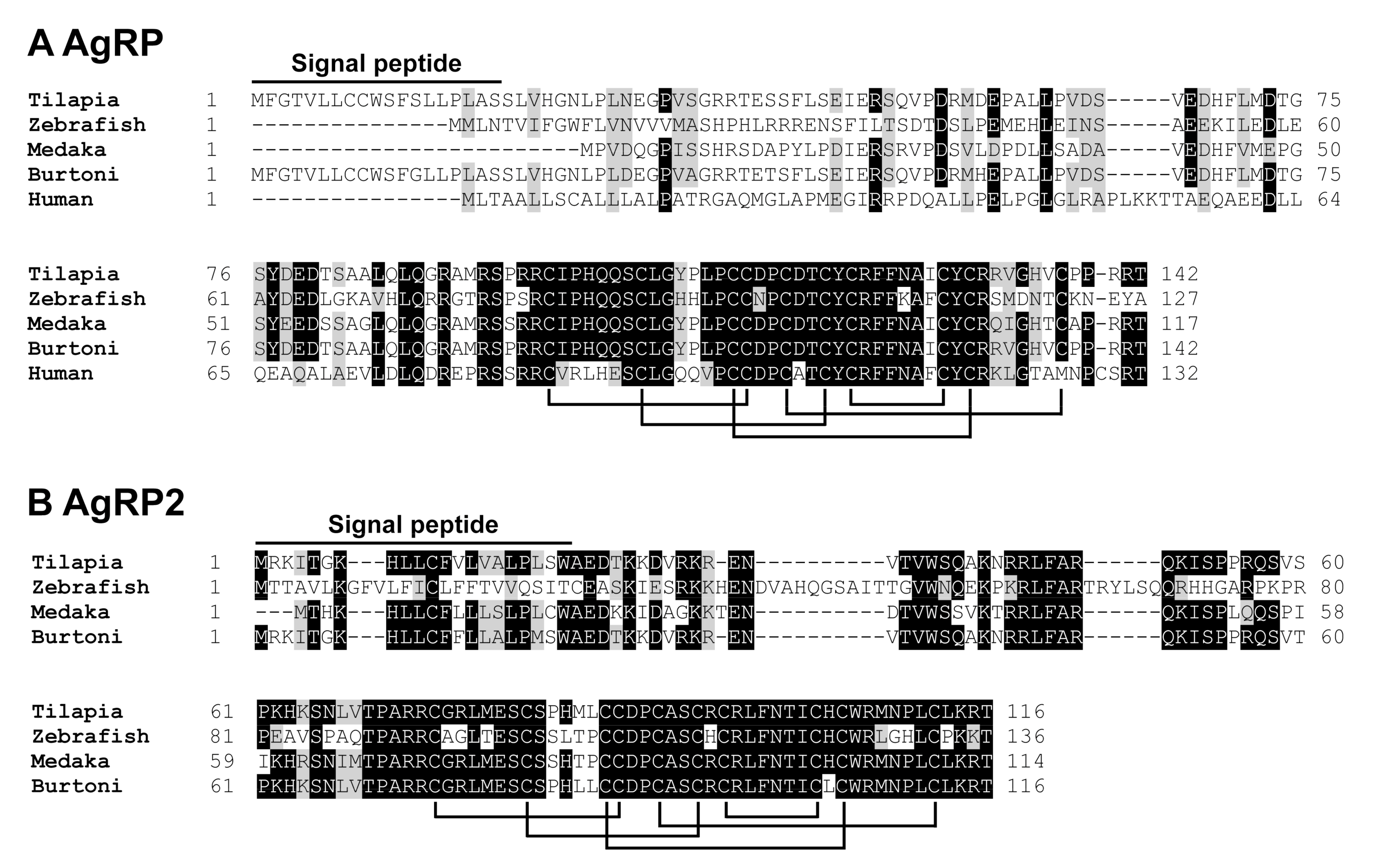 Ijms Free Full Text Melanocortin Receptor 4 Mc4r Signaling System In Nile Tilapia Html