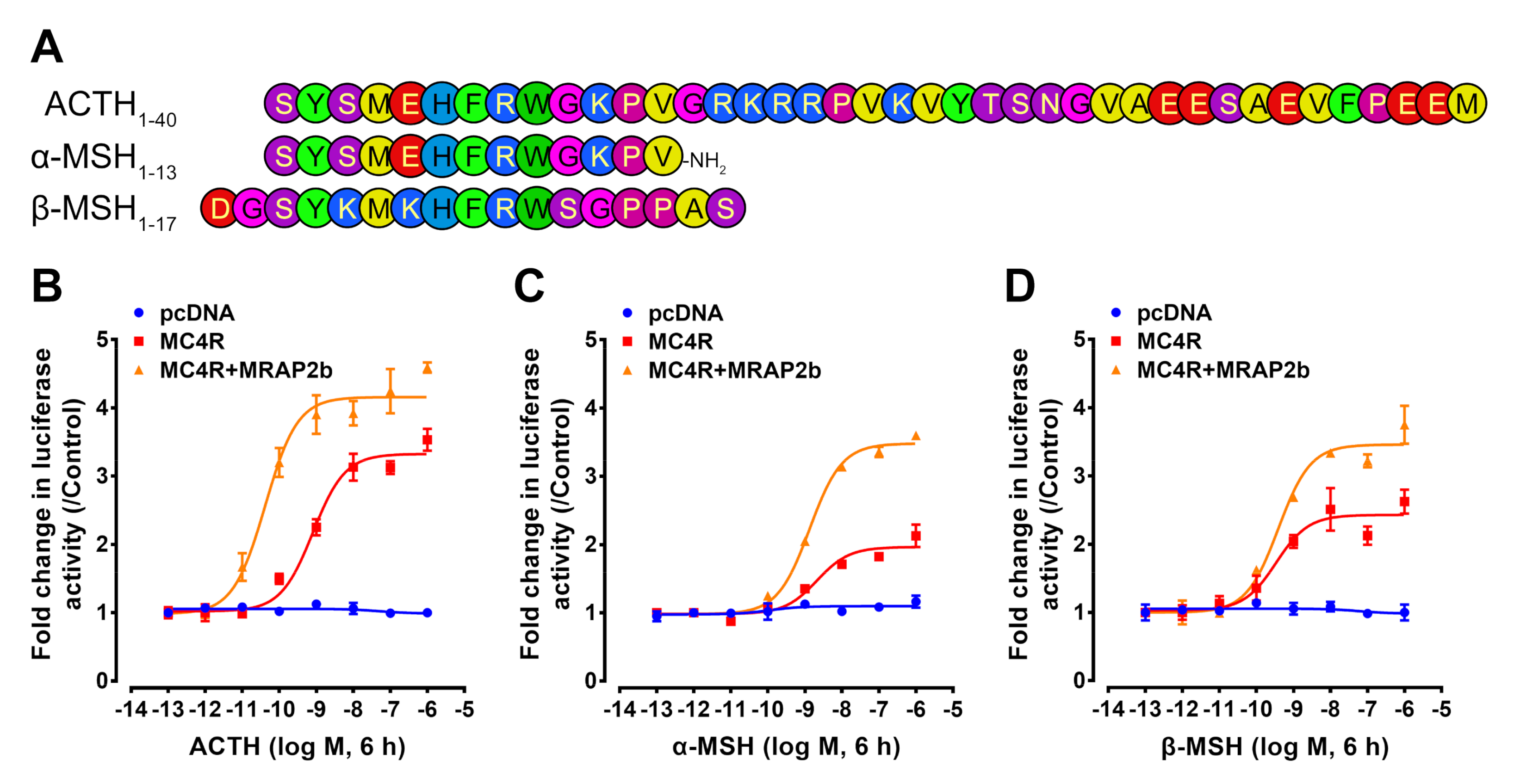 Ijms 21 07036 g005 Ijms 21 07036 g005