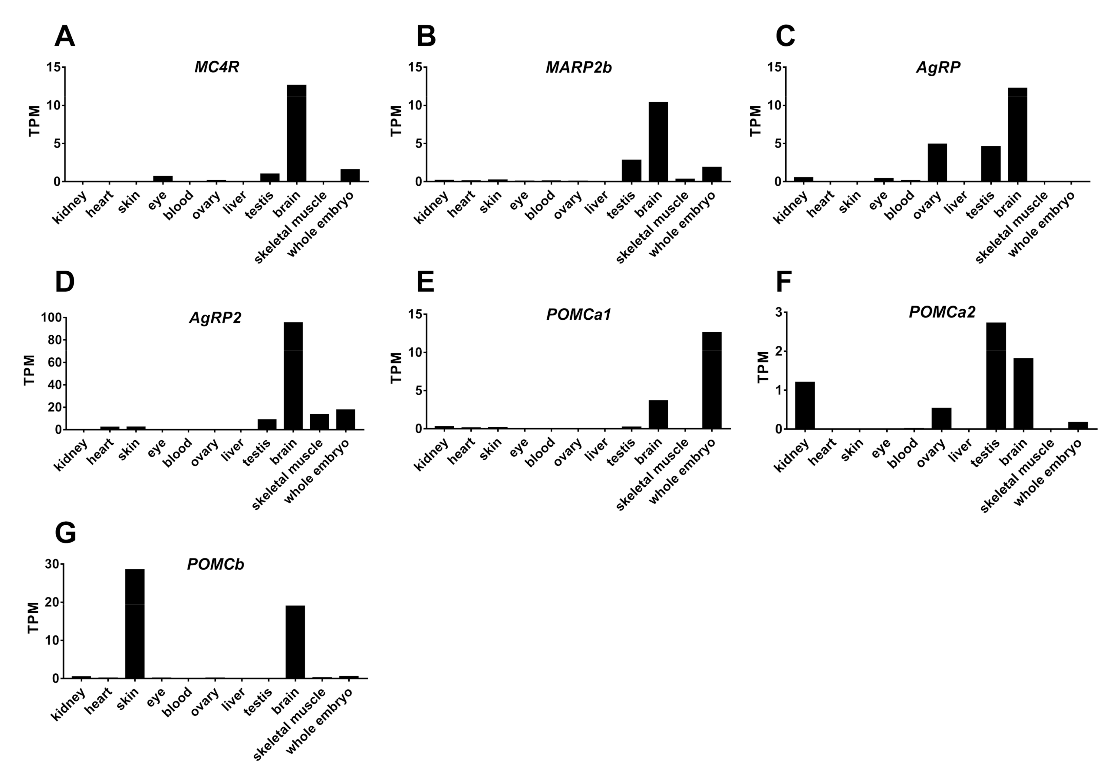 Ijms 21 07036 g009 Ijms 21 07036 g009