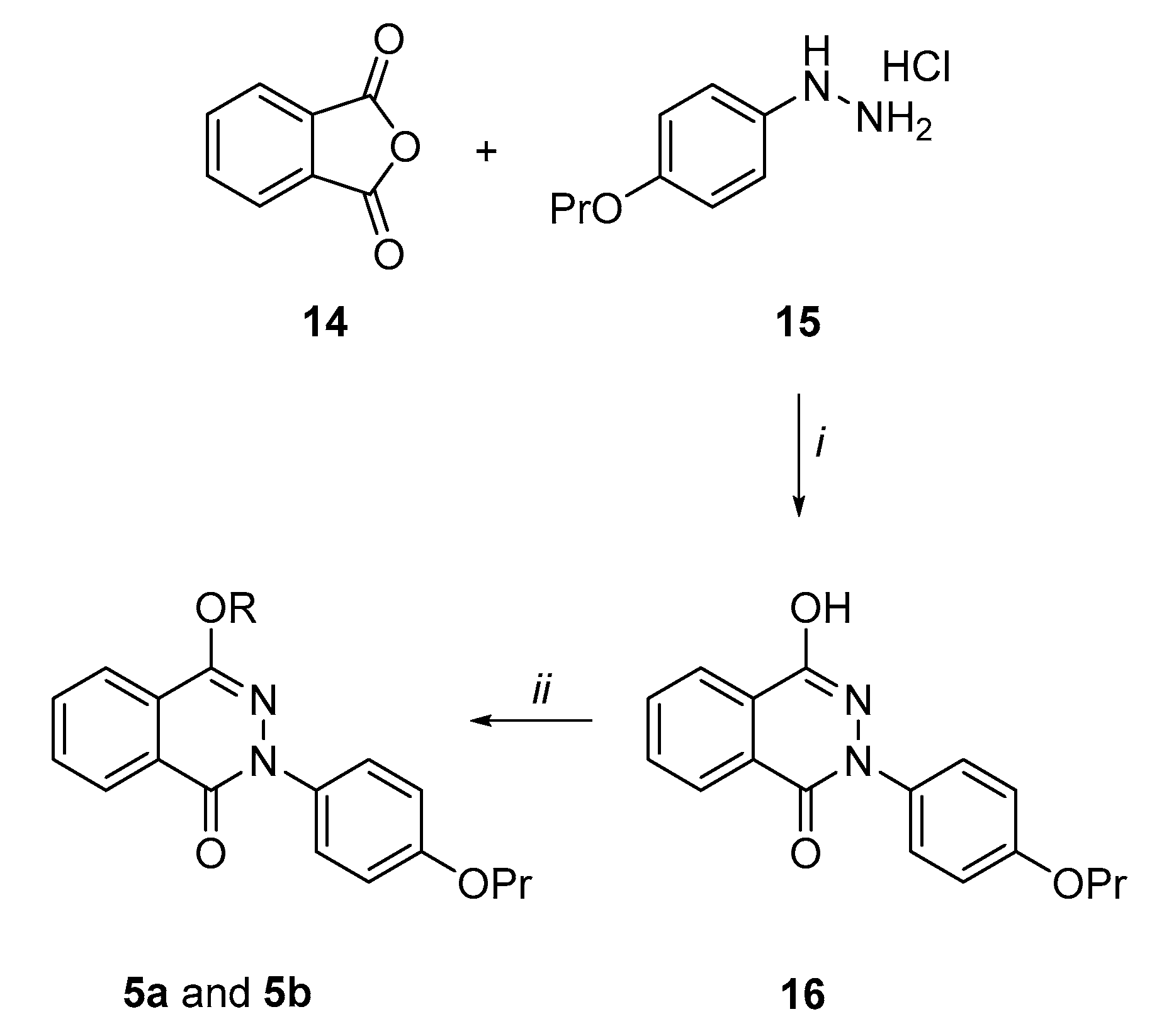 Ijms 21 07037 sch003 Ijms 21 07037 sch003
