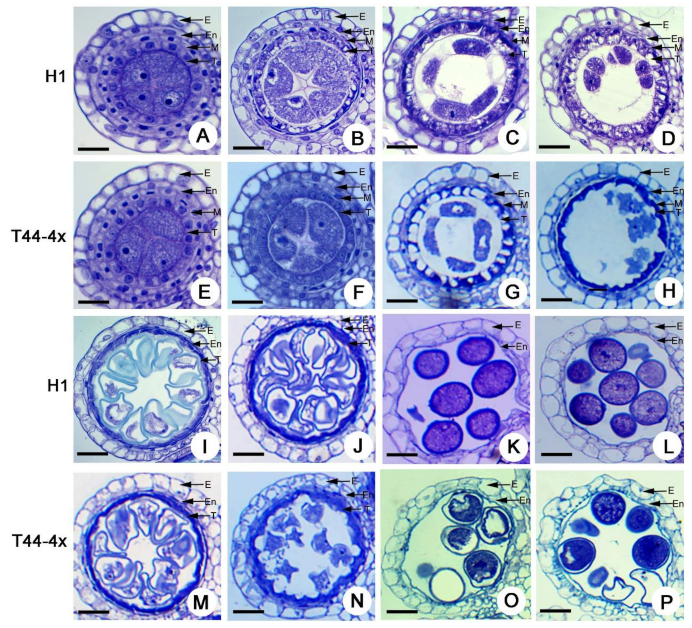 Ijms 21 07046 g002 Ijms 21 07046 g002