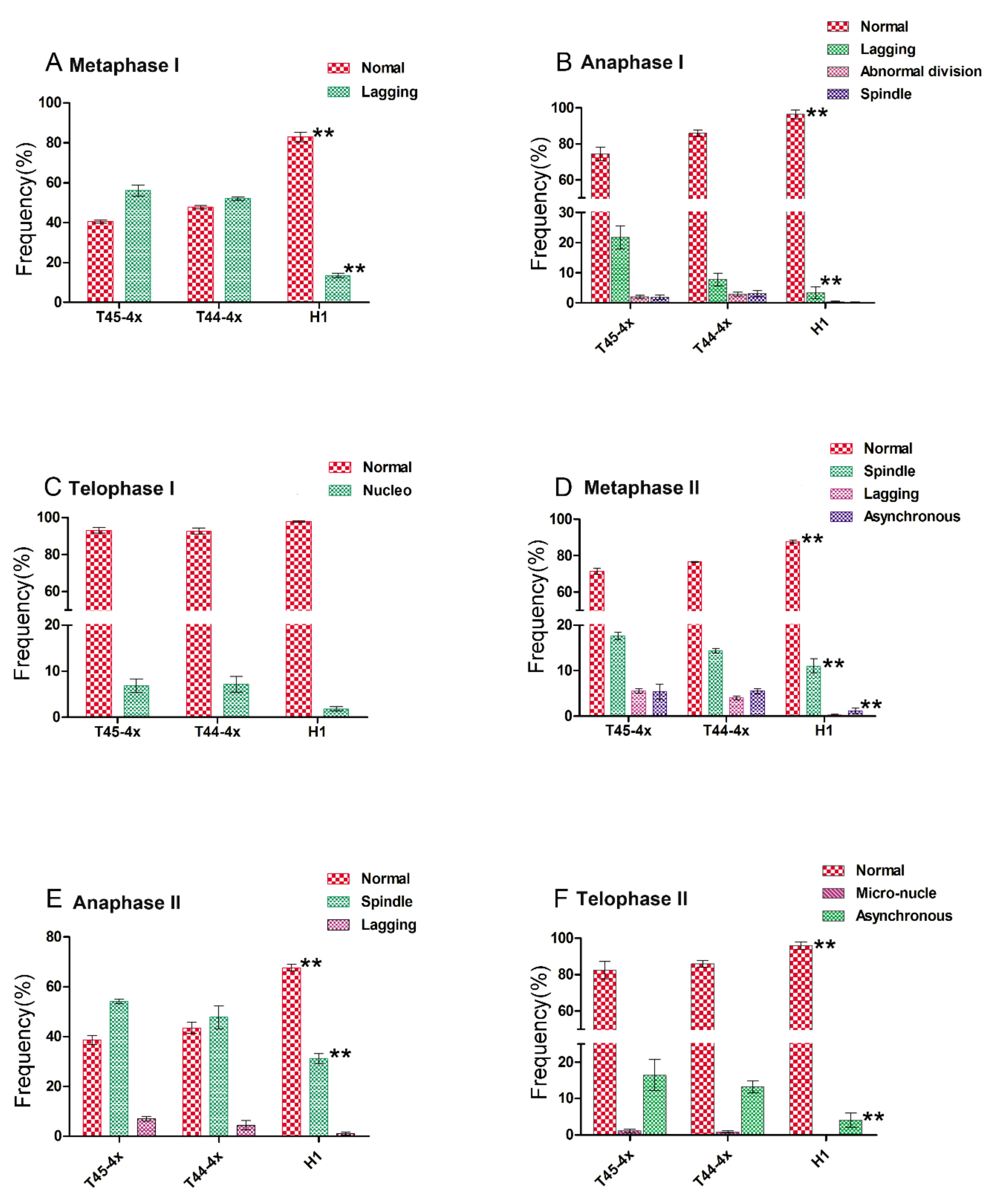 Ijms 21 07046 g004 Ijms 21 07046 g004