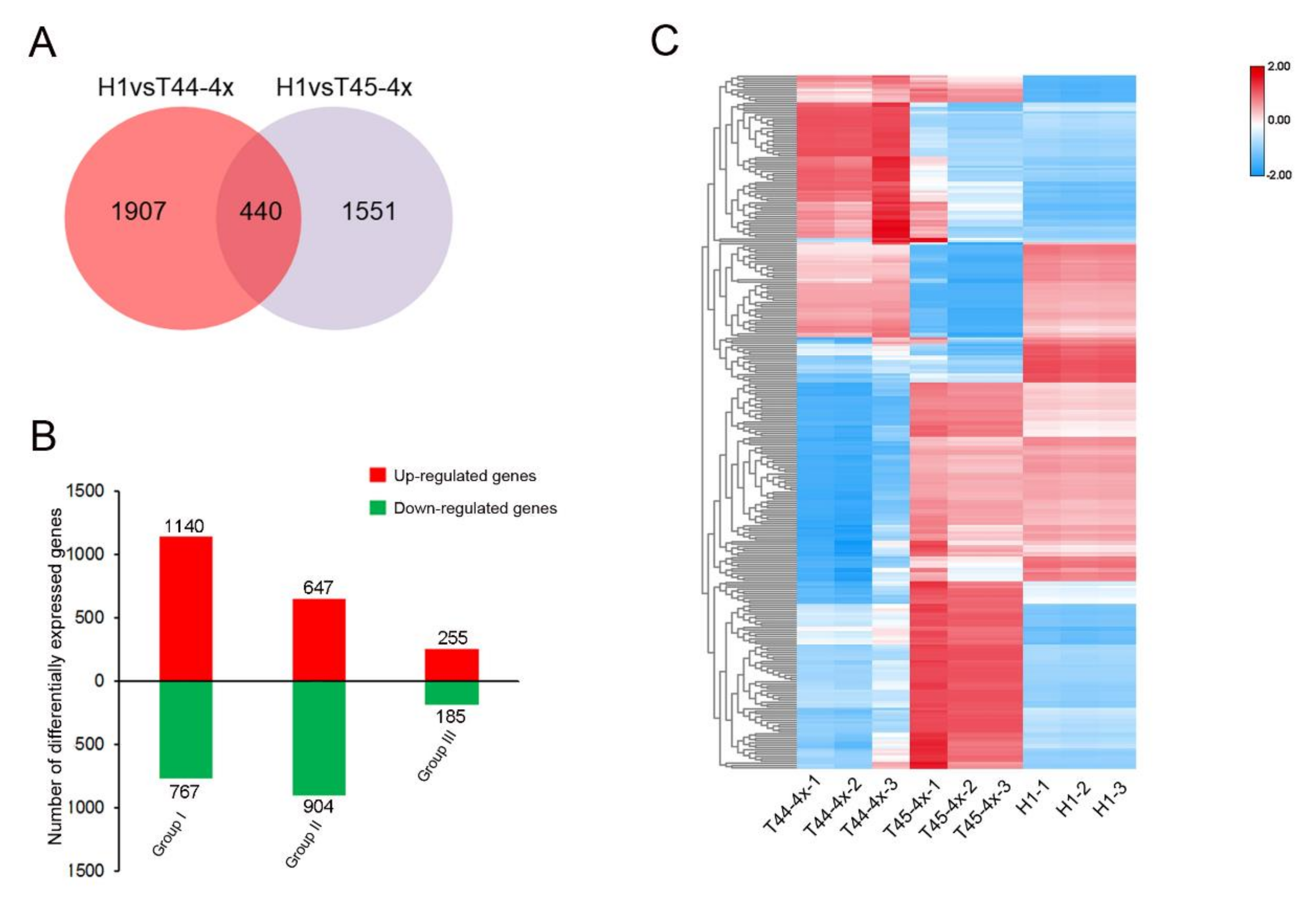 Ijms 21 07046 g005 Ijms 21 07046 g005