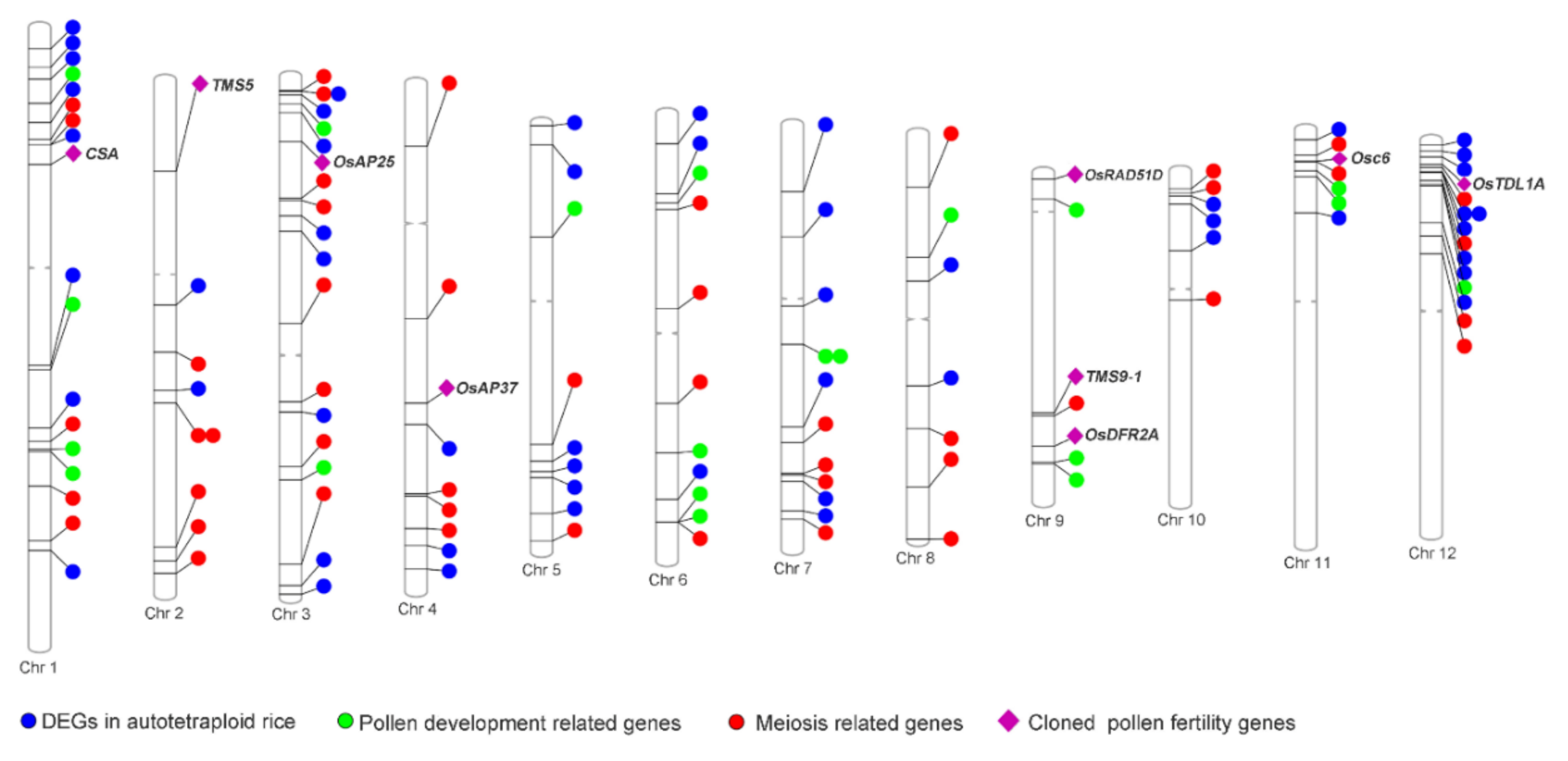 Ijms 21 07046 g006 Ijms 21 07046 g006