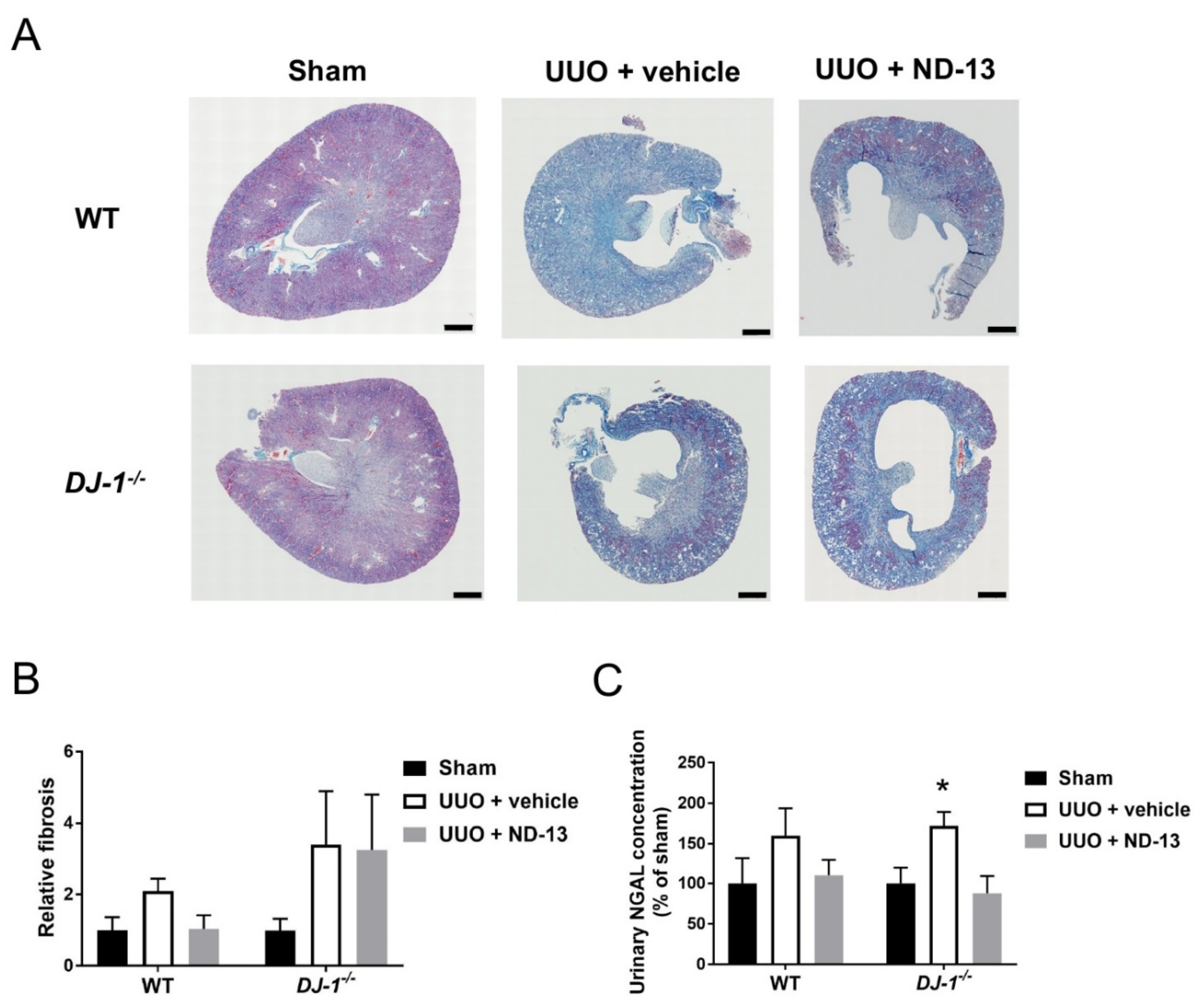 Ijms 21 07048 g002 Ijms 21 07048 g002