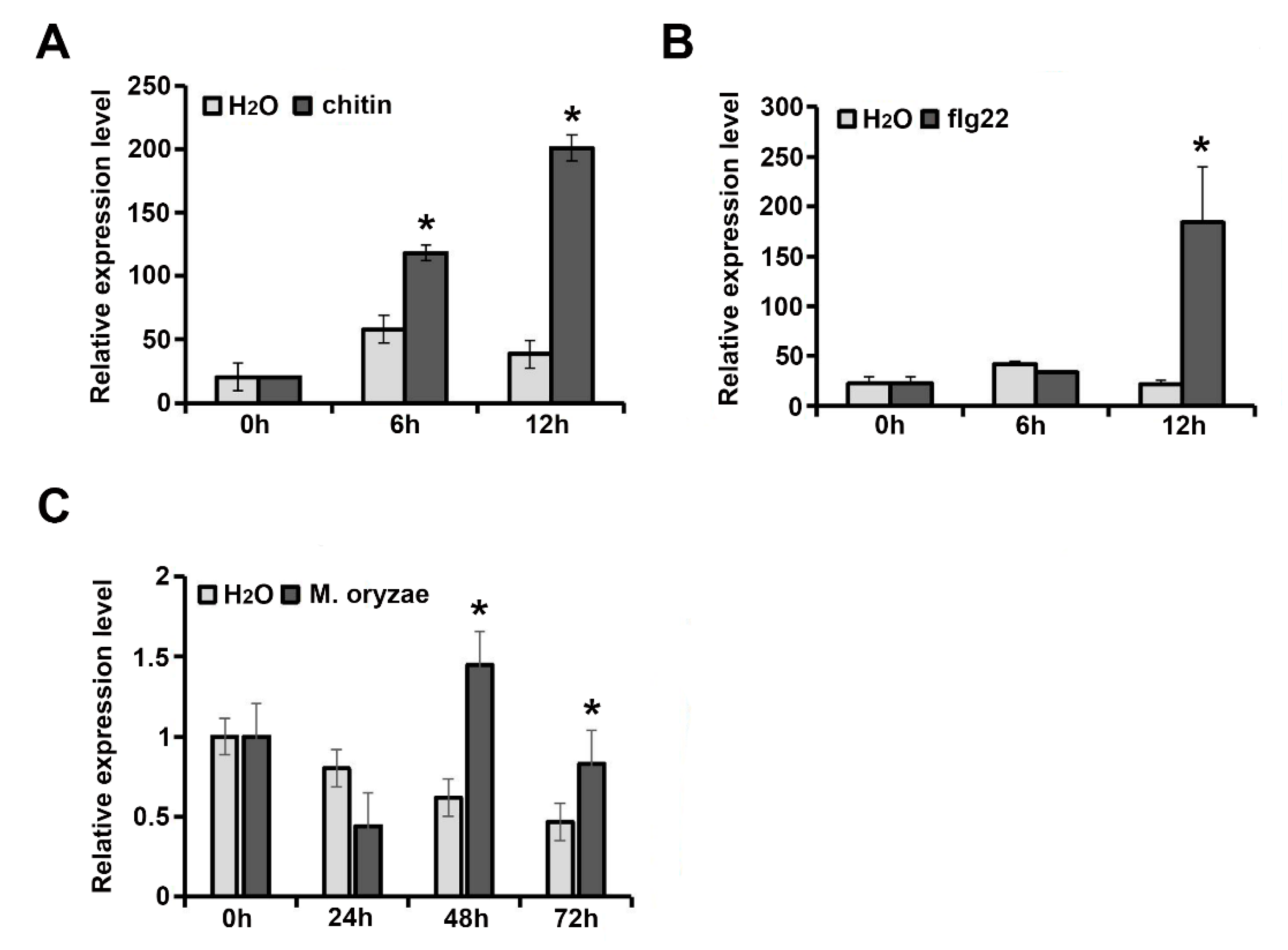 Ijms 21 07049 g003 Ijms 21 07049 g003