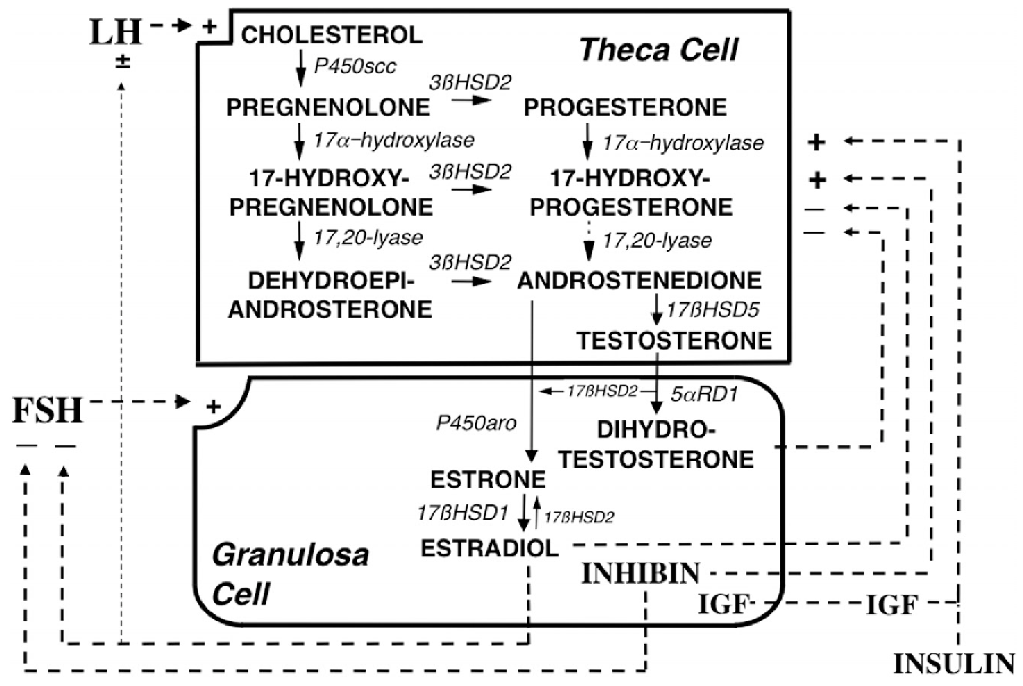 Ijms 21 07054 g002 Ijms 21 07054 g002