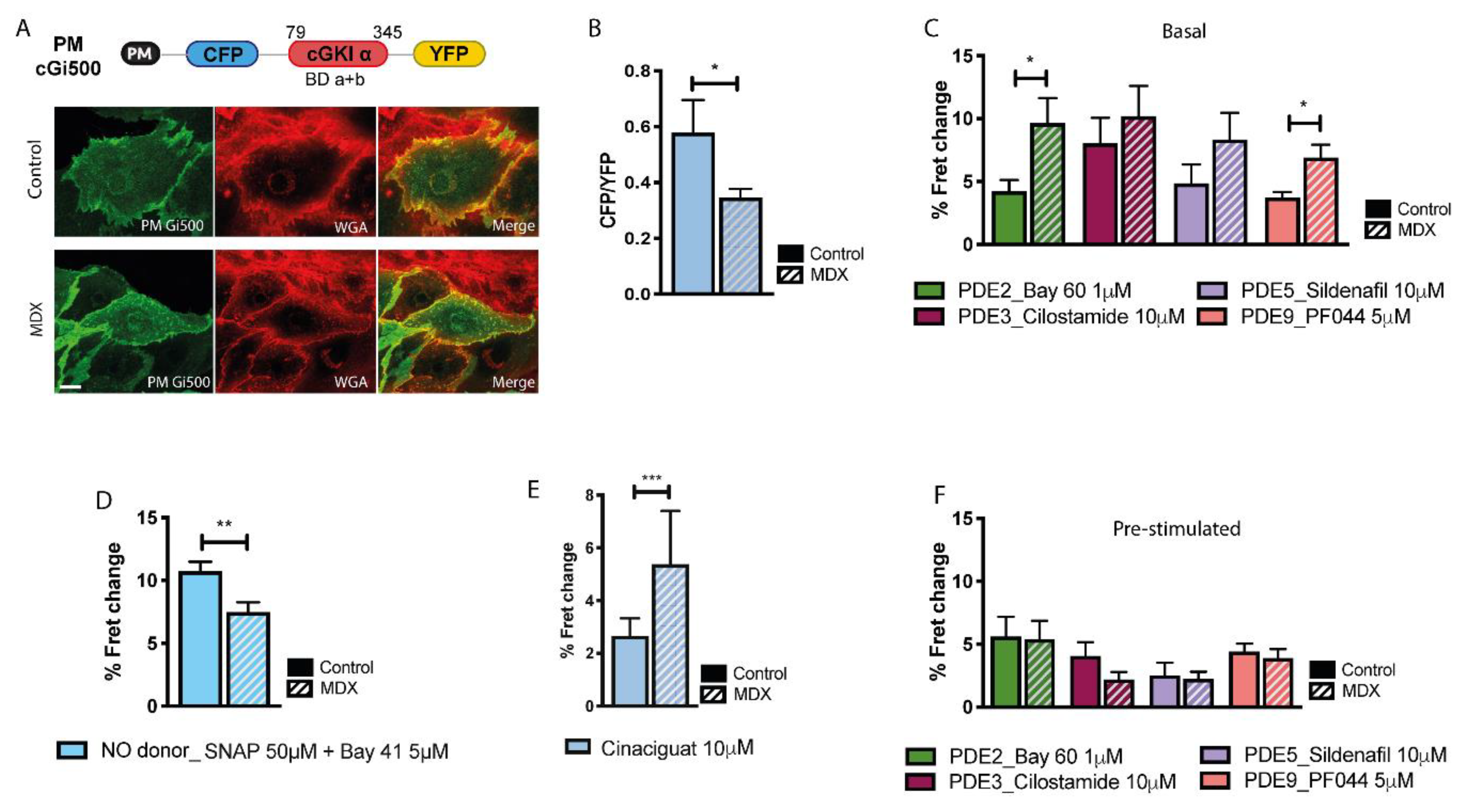 Ijms 21 07056 g002 Ijms 21 07056 g002