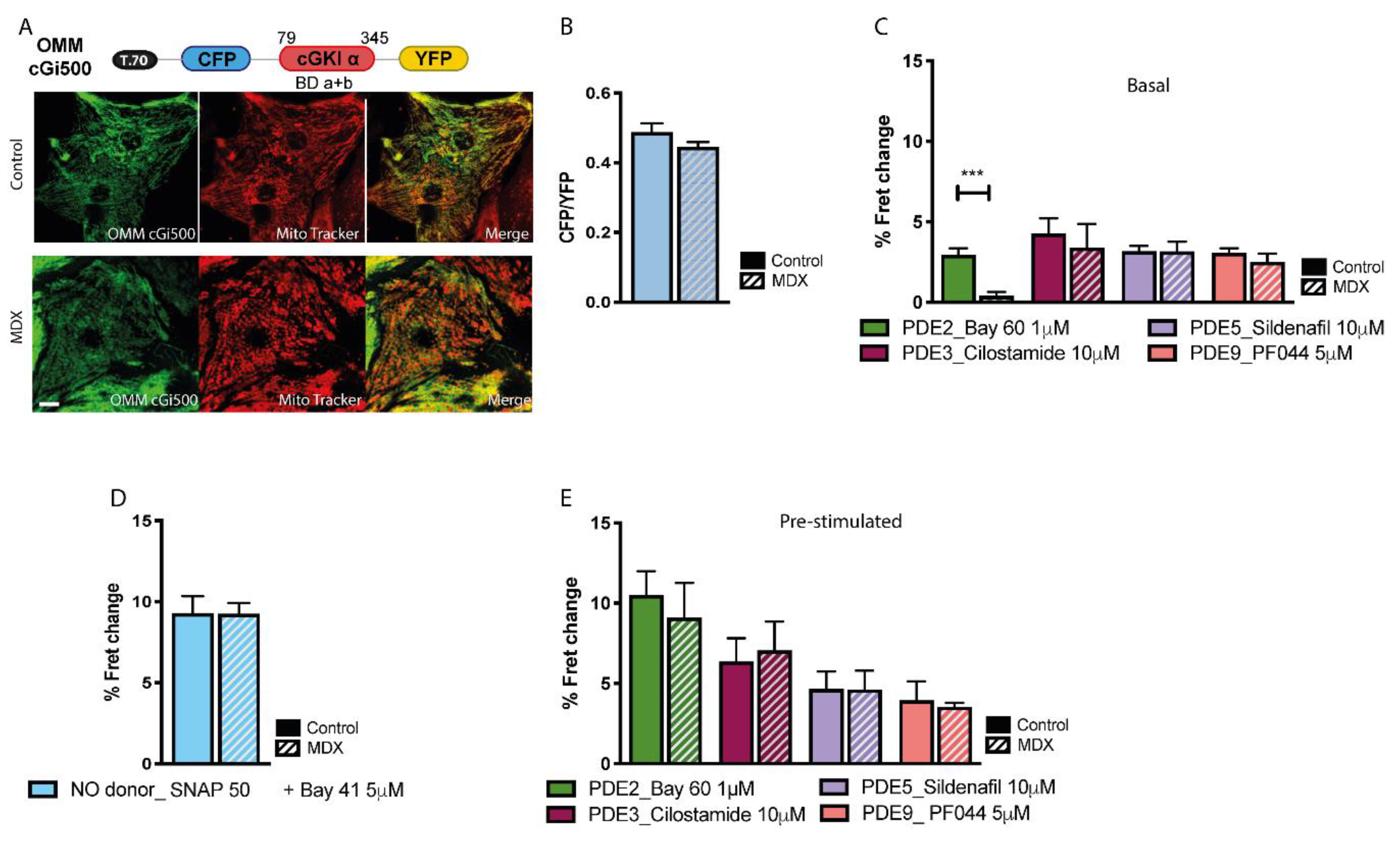 Ijms 21 07056 g003 Ijms 21 07056 g003