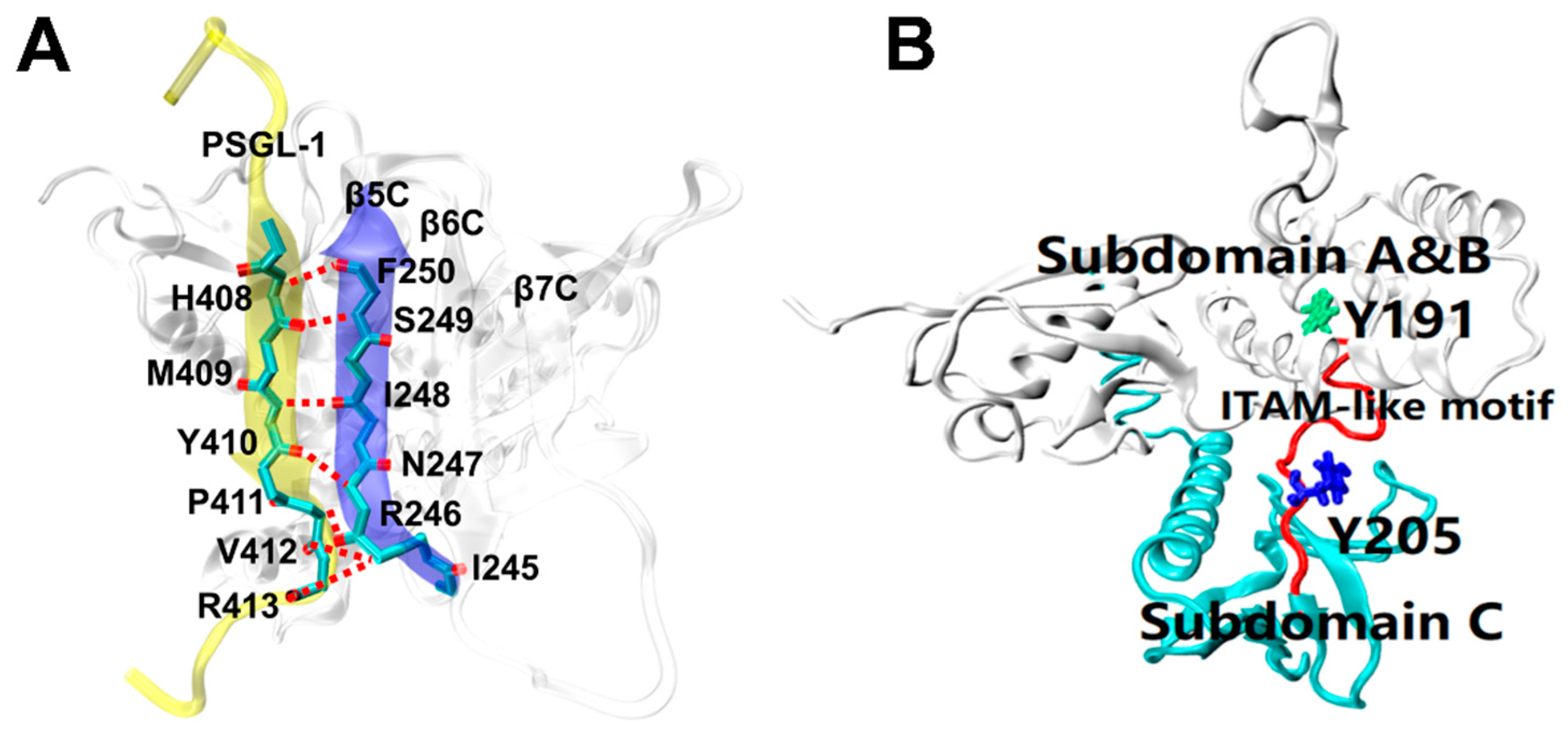 Ijms 21 07064 g001 Ijms 21 07064 g001