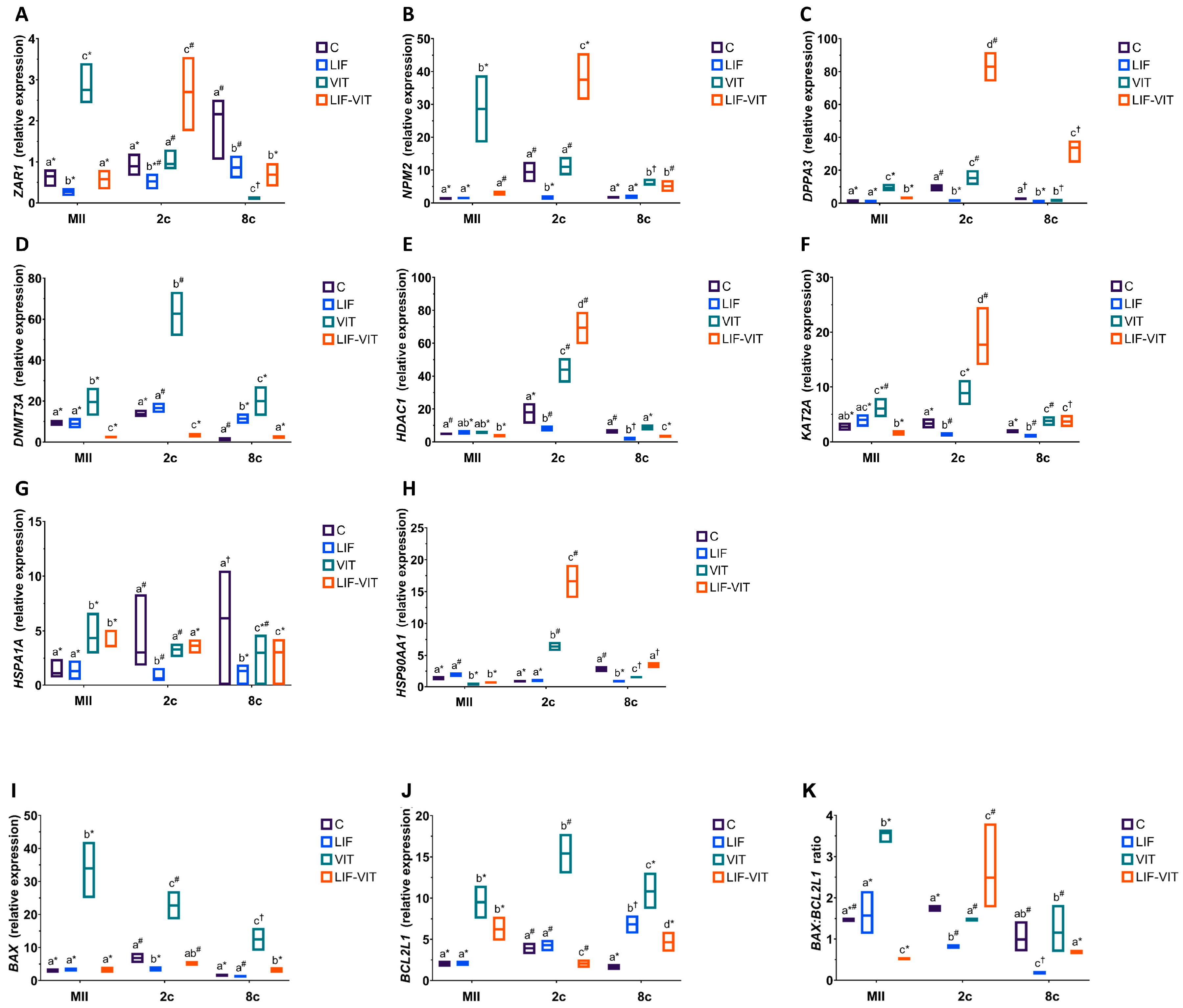 Ijms 21 07067 g004 Ijms 21 07067 g004