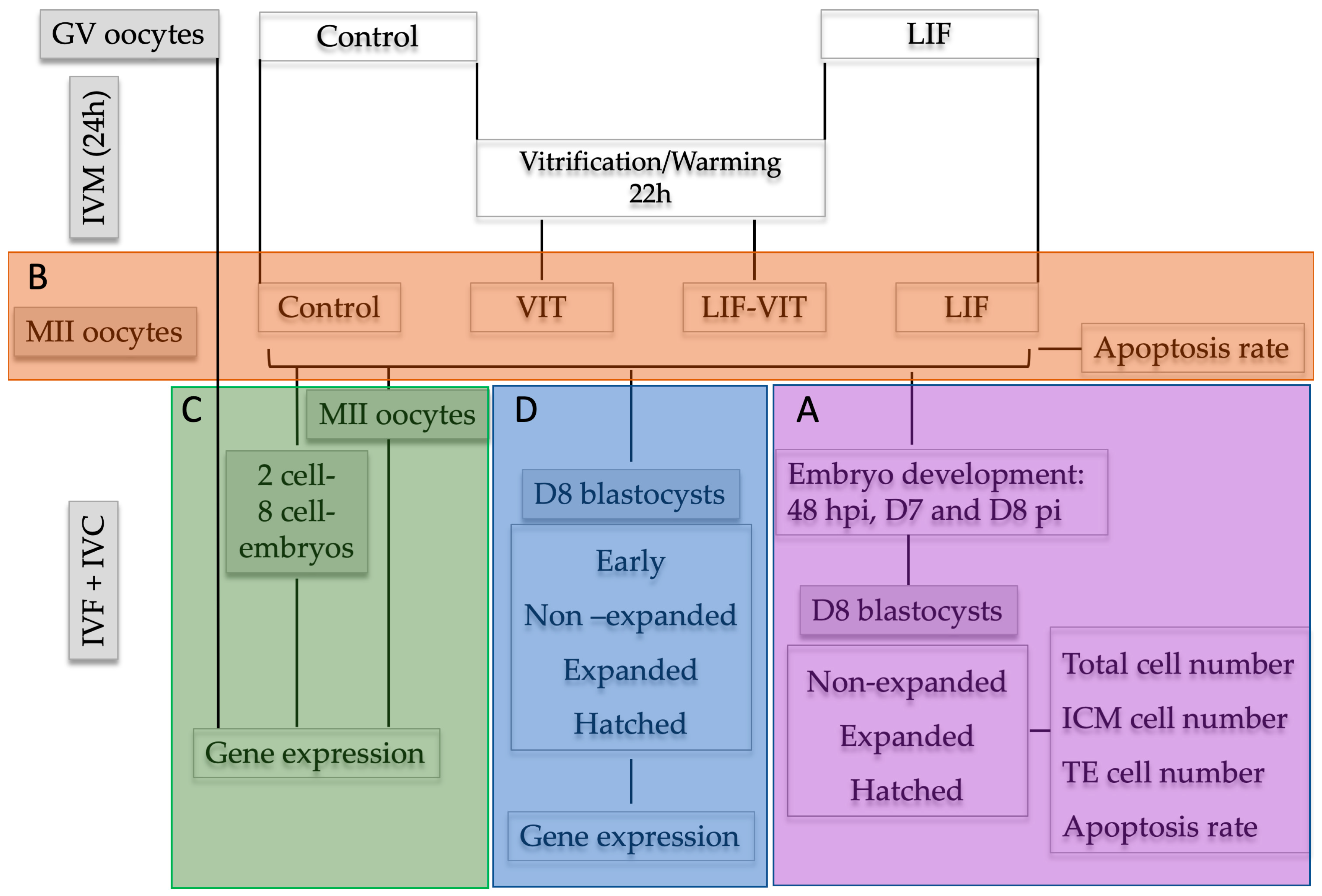 Ijms 21 07067 g006 Ijms 21 07067 g006