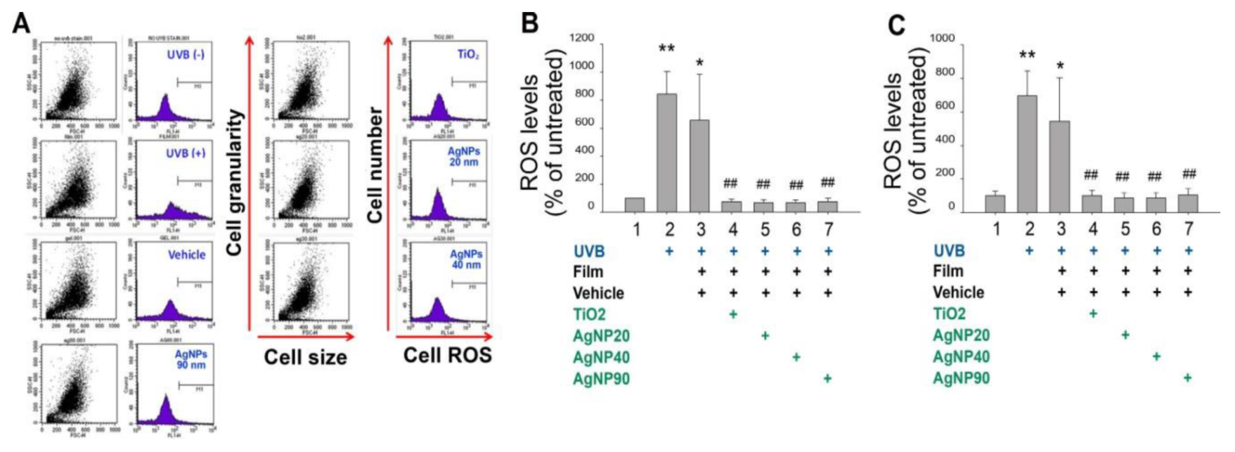 Ijms 21 07082 g003 Ijms 21 07082 g003