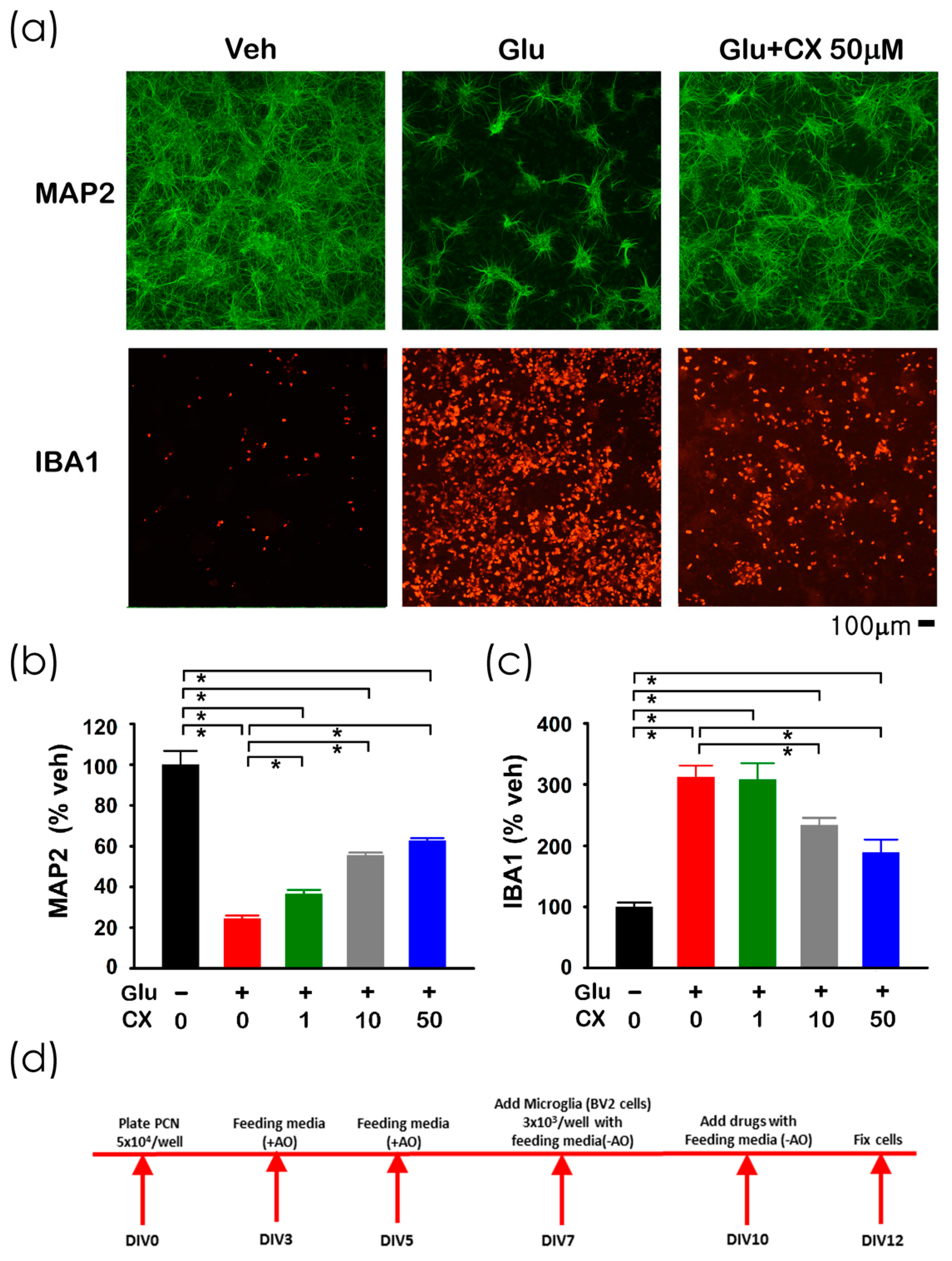 Ijms 21 07085 g002 Ijms 21 07085 g002