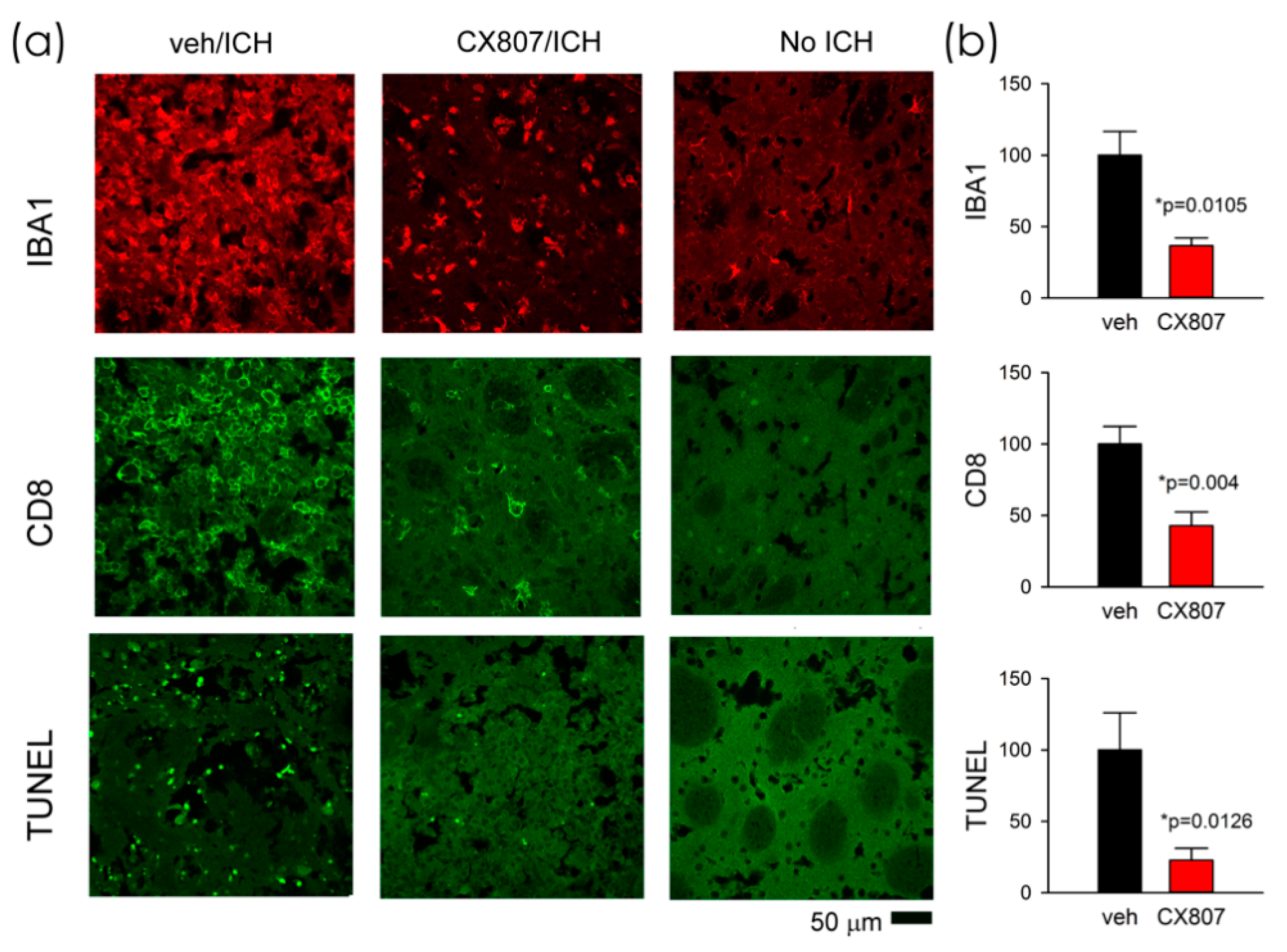 Ijms 21 07085 g005 Ijms 21 07085 g005