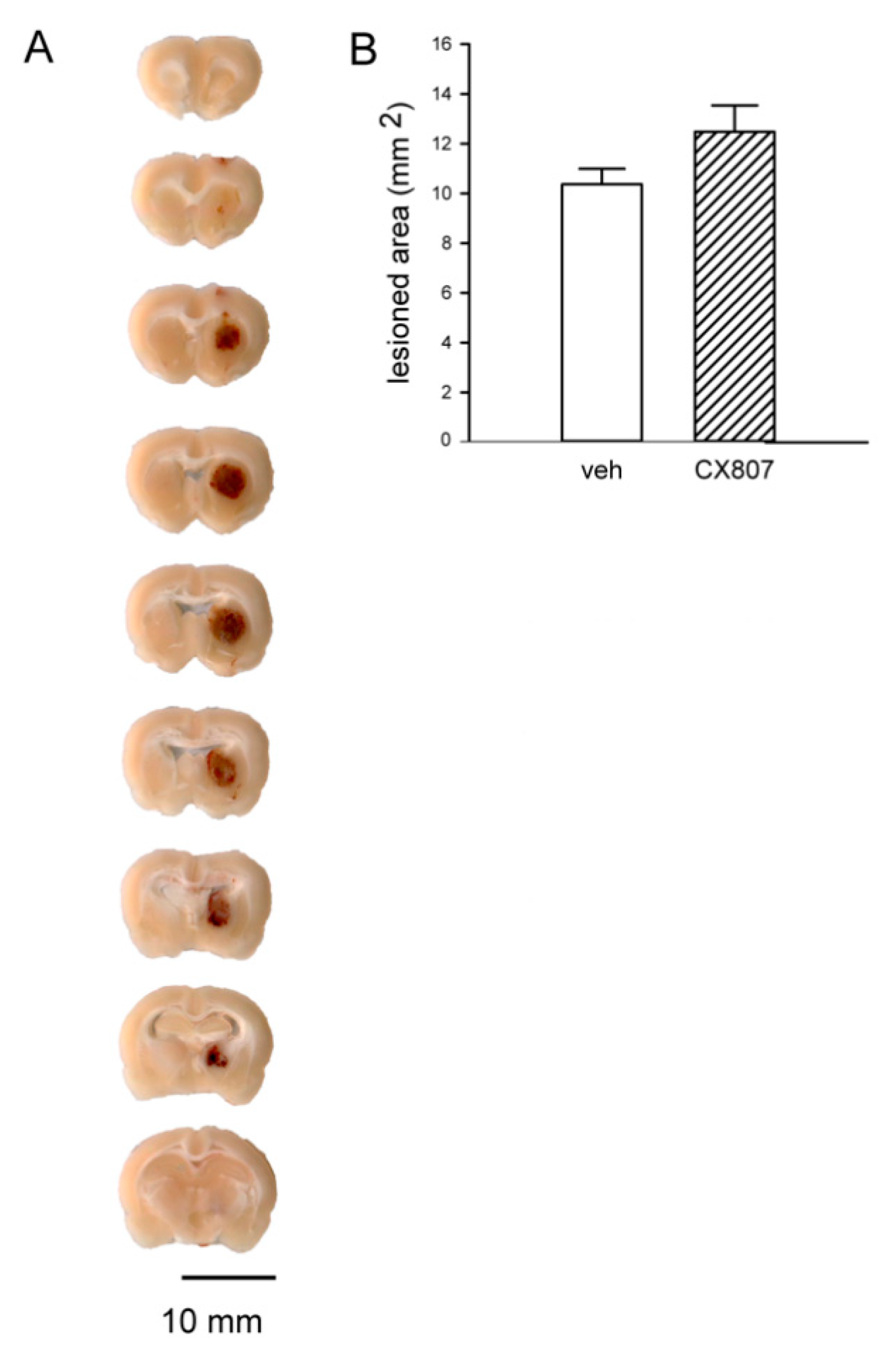 Ijms 21 07085 g0a1 Ijms 21 07085 g0a1