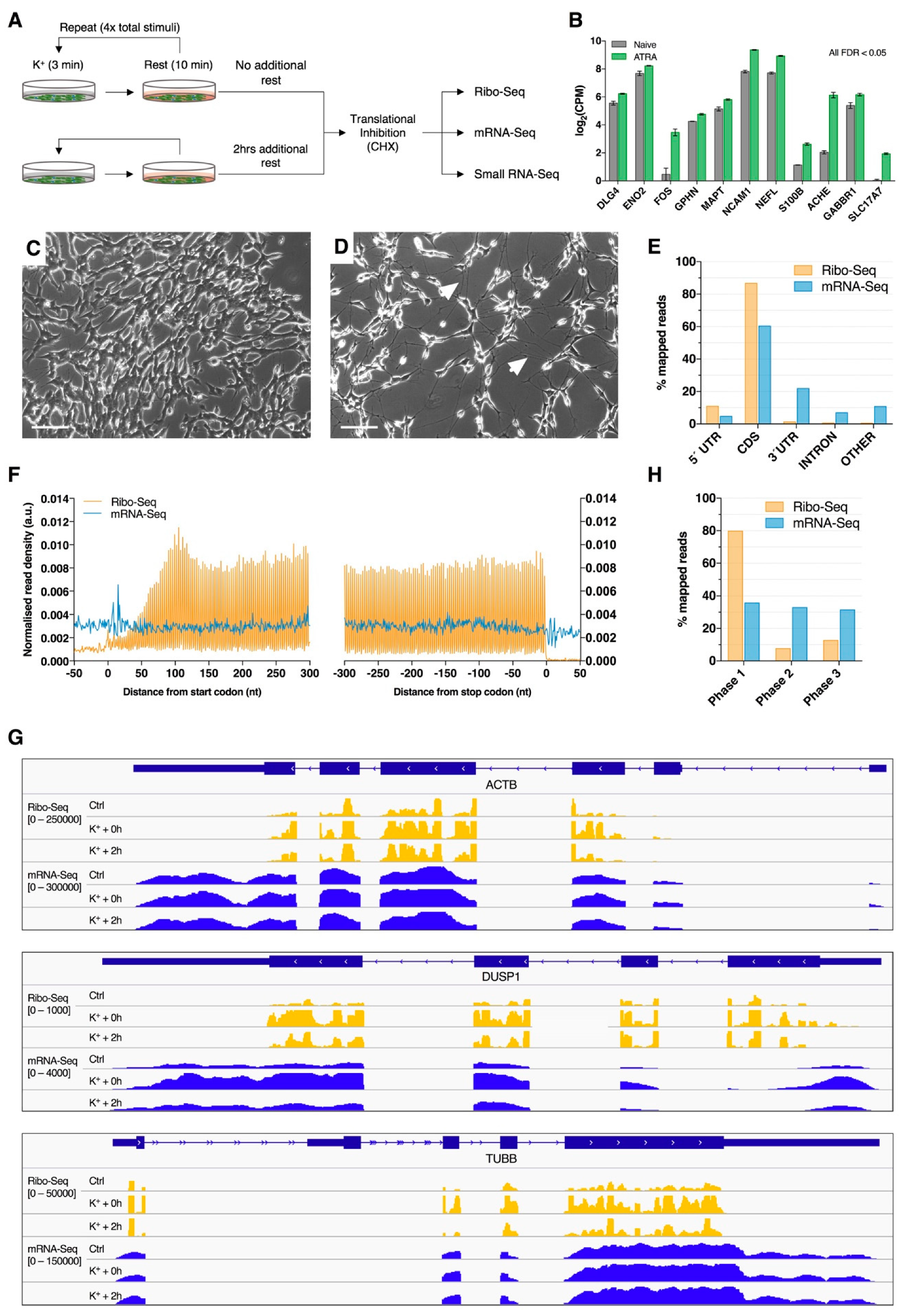 Ijms 21 07086 g001 Ijms 21 07086 g001