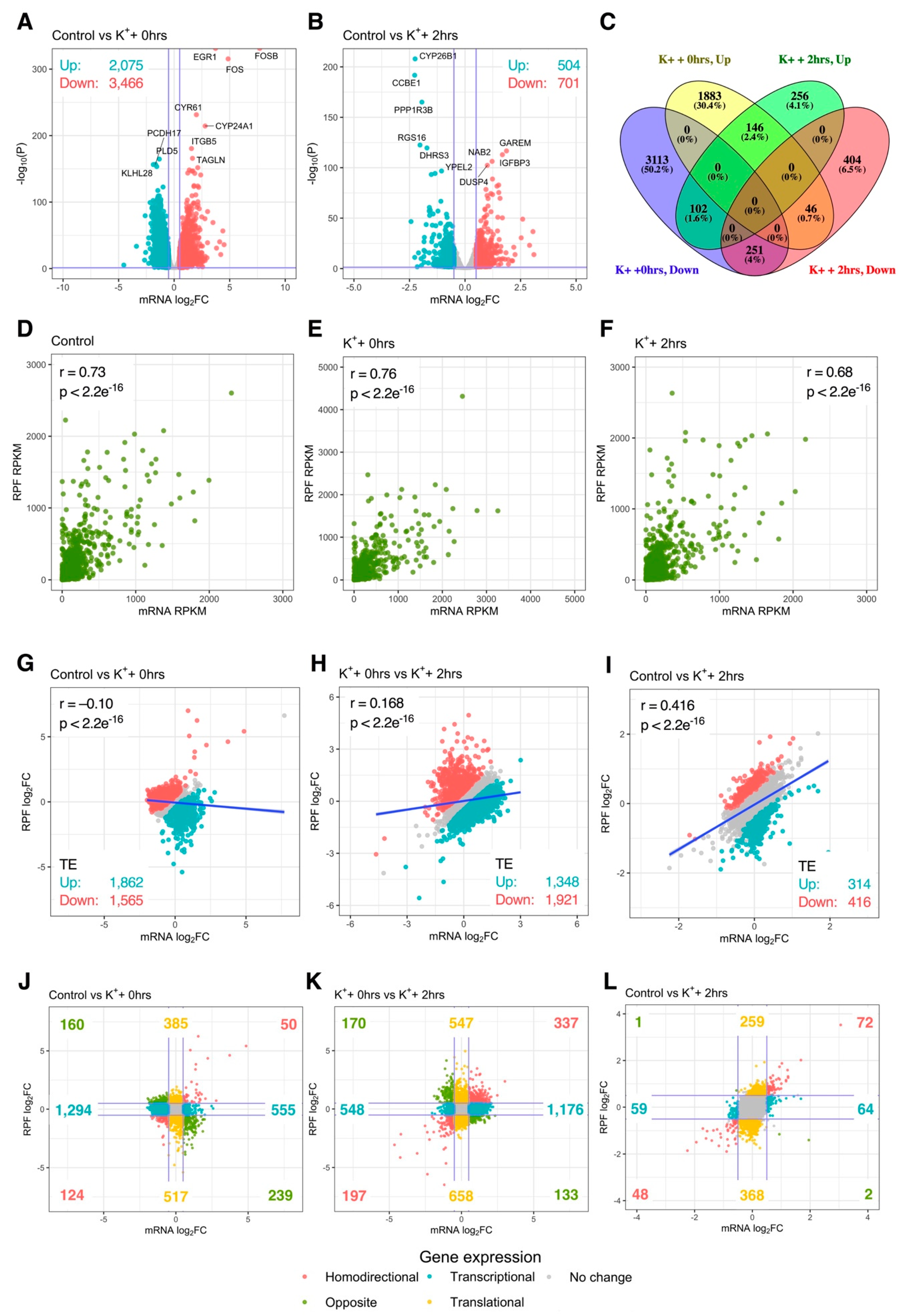 Ijms 21 07086 g003 Ijms 21 07086 g003