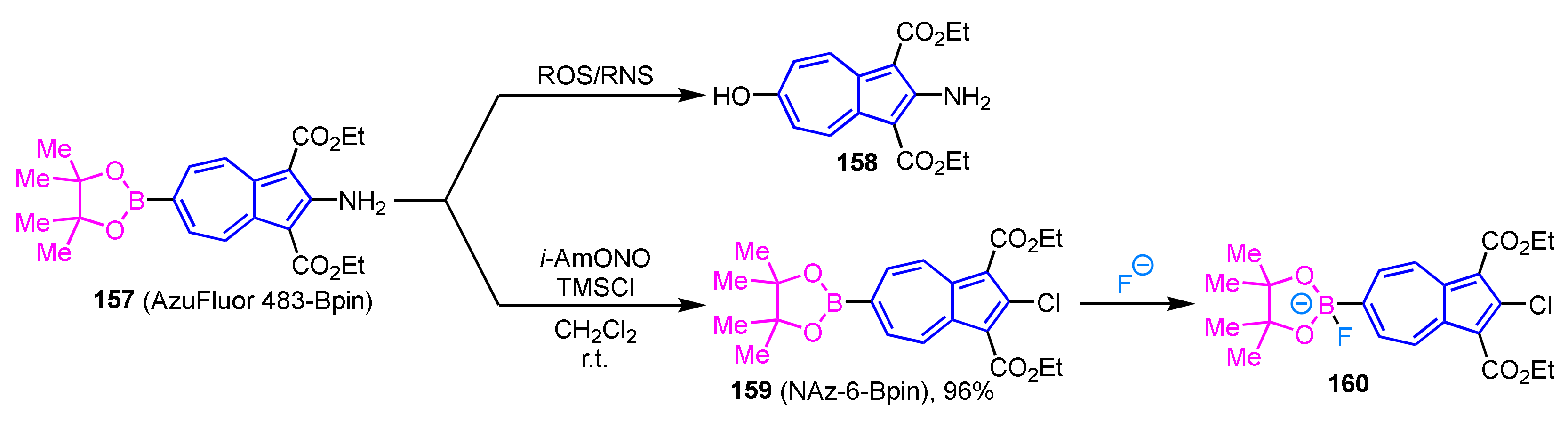 Ijms 21 07087 sch053