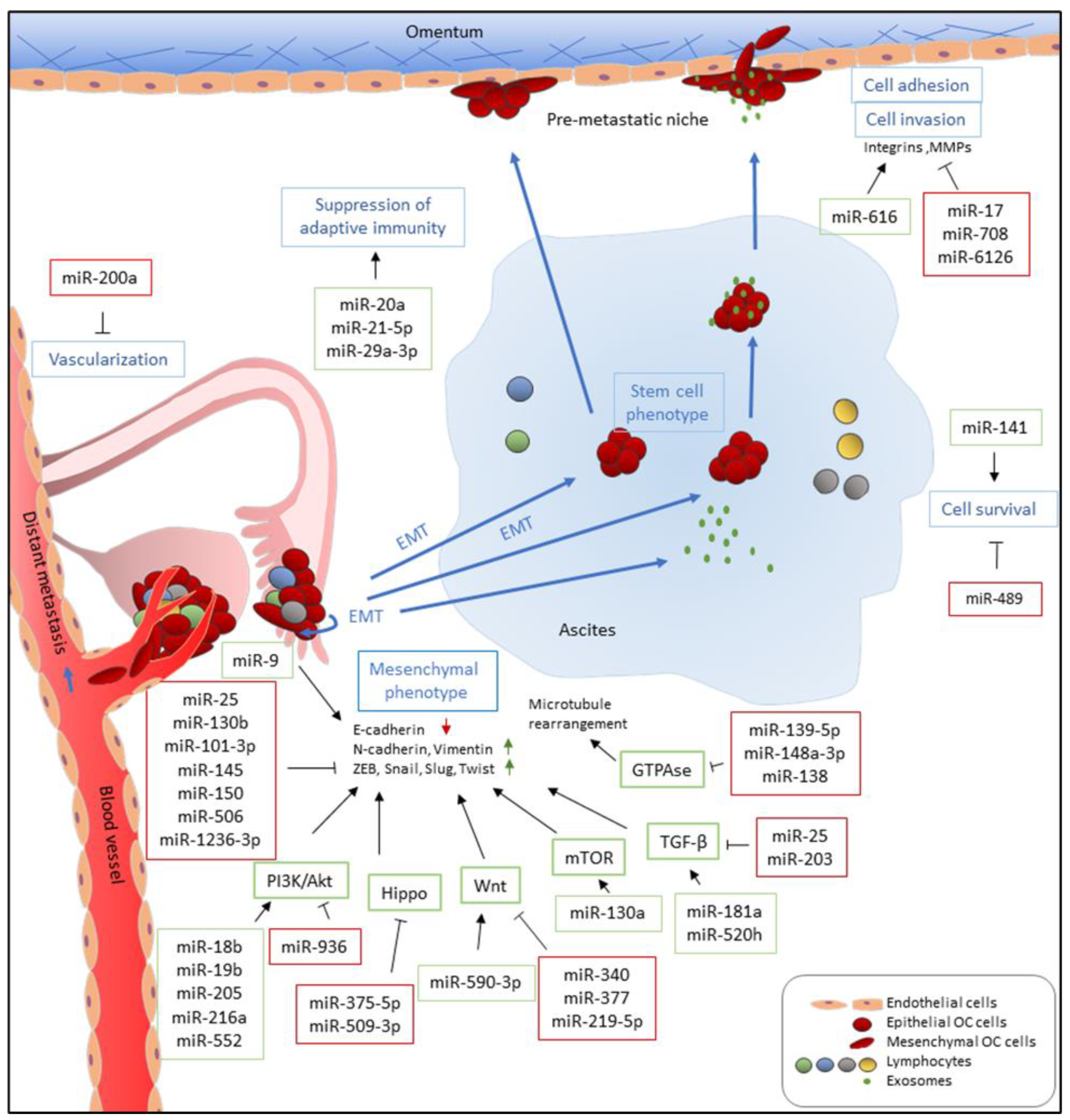 Ijms 21 07093 g002 Ijms 21 07093 g002