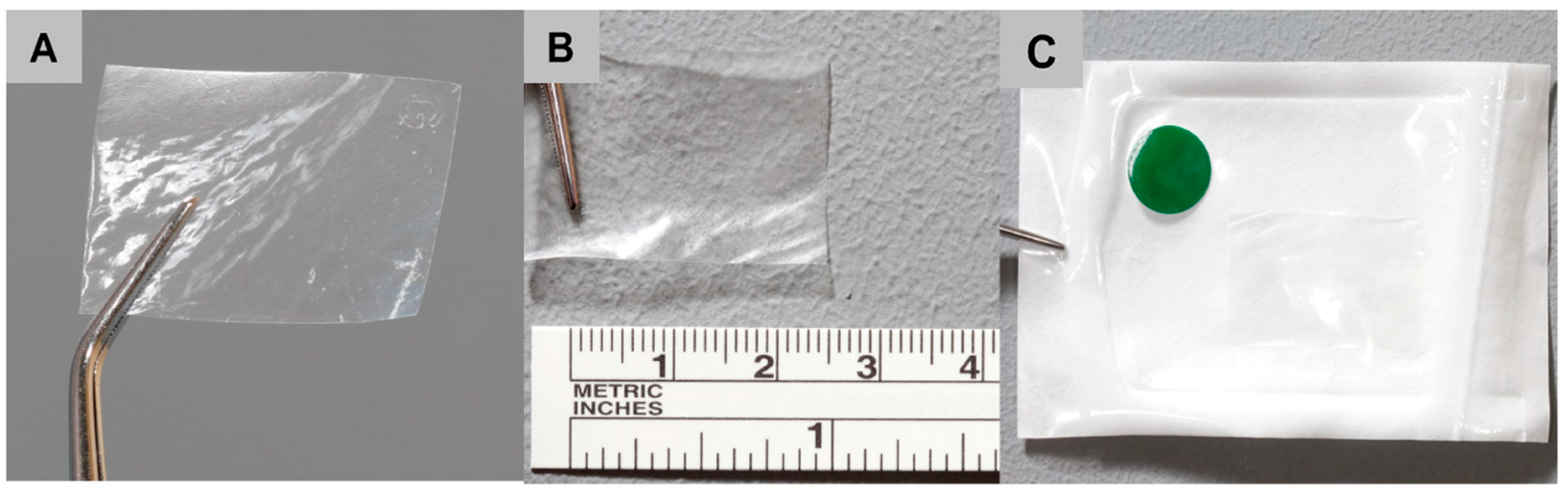 Ijms 21 07104 g005 Ijms 21 07104 g005