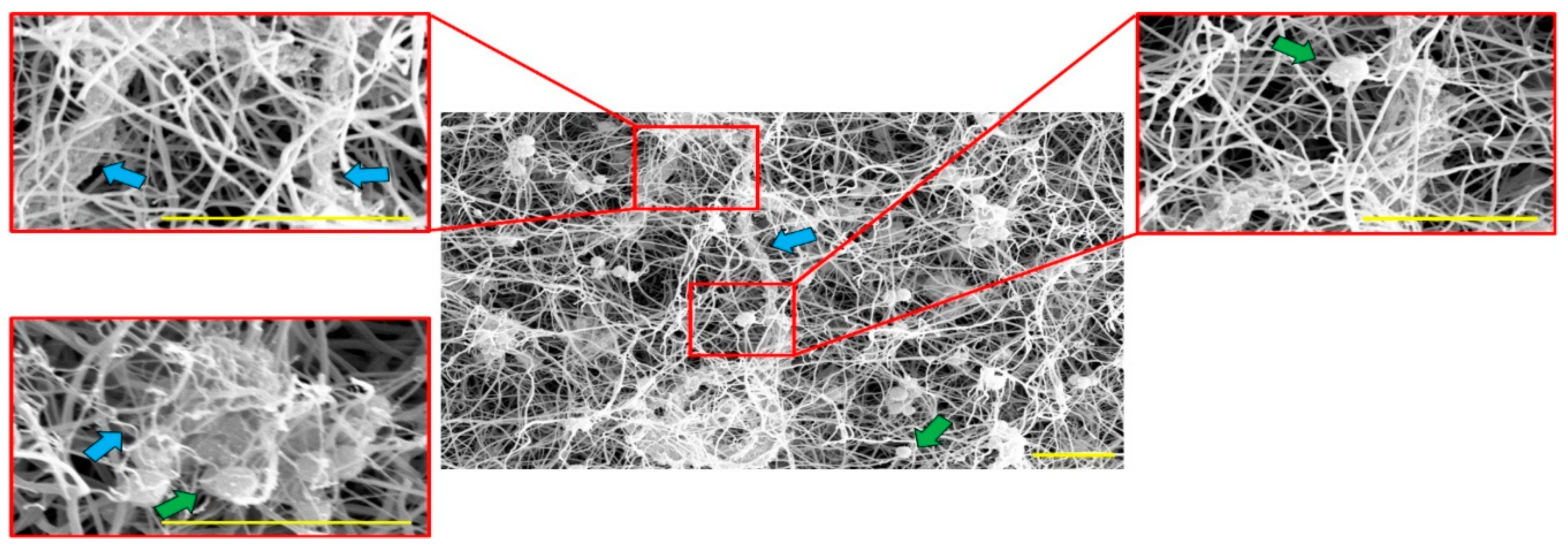 Ijms 21 07107 g001 Ijms 21 07107 g001