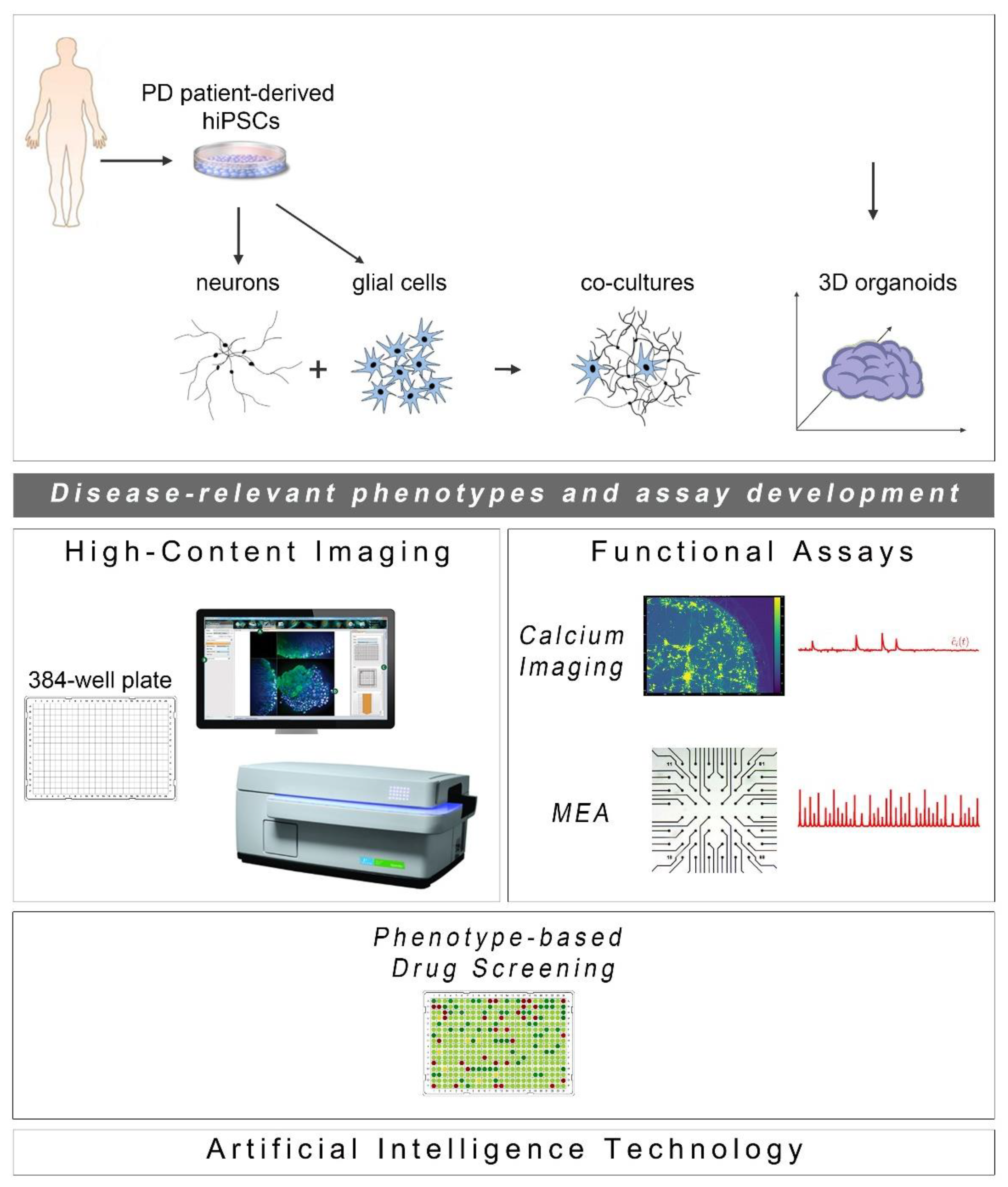 Ijms 21 07113 g001 Ijms 21 07113 g001