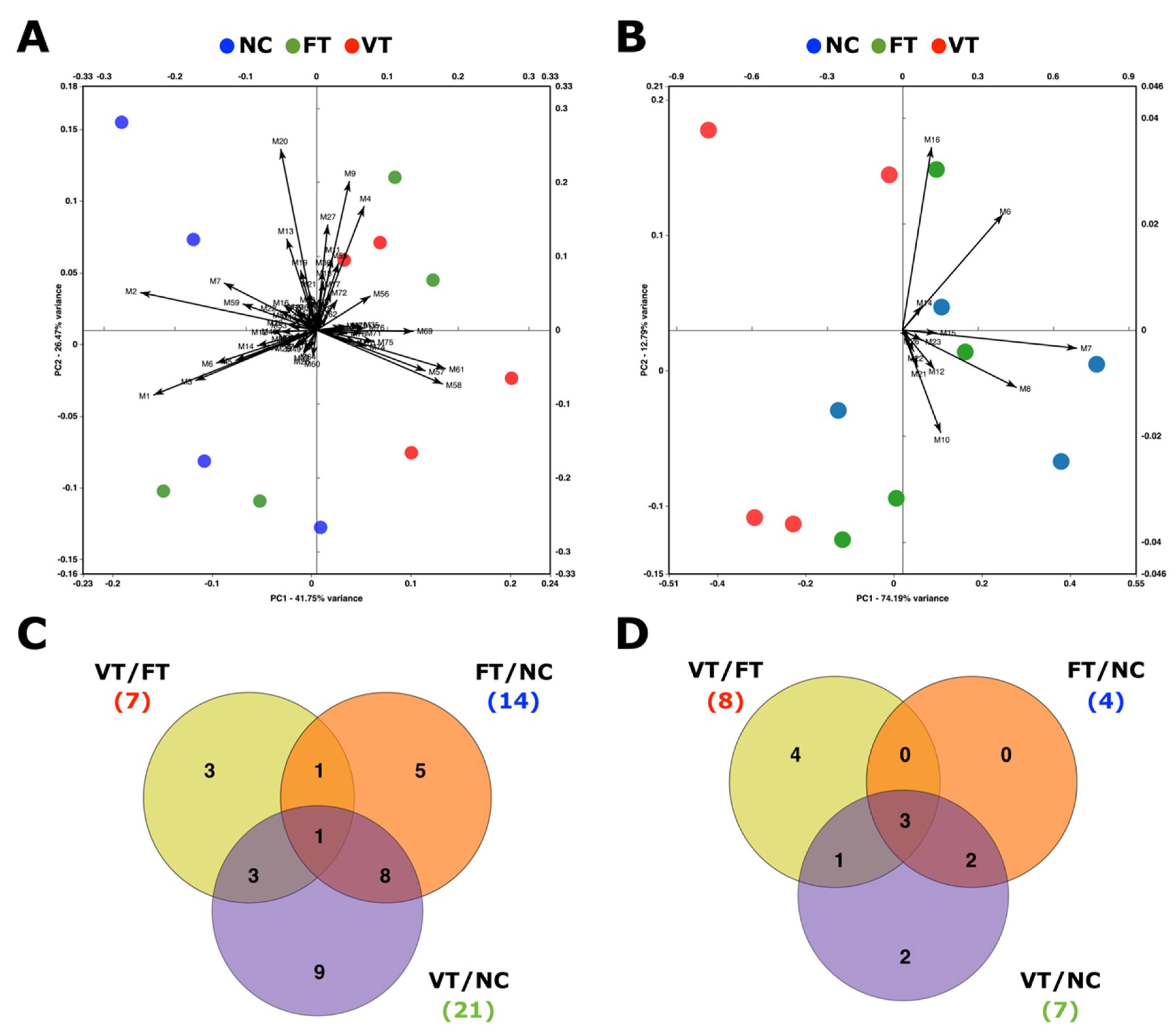 Ijms 21 07116 g001 Ijms 21 07116 g001