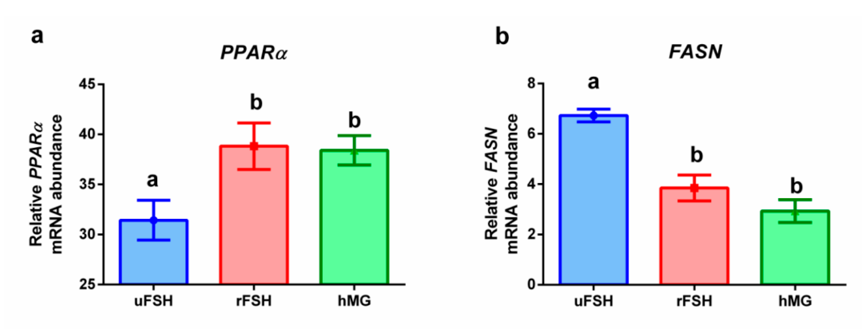Ijms 21 07124 g003 Ijms 21 07124 g003