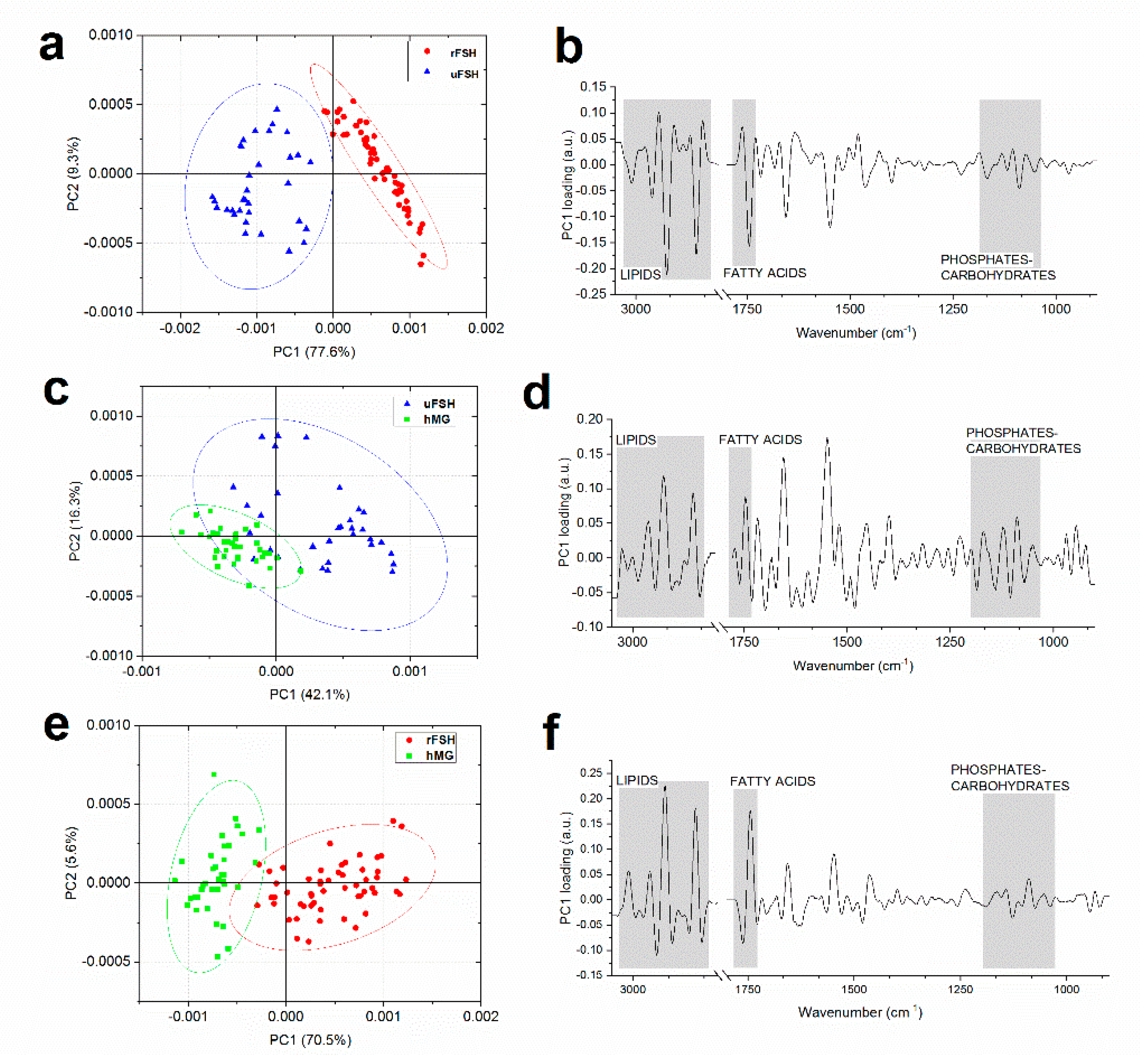 Ijms 21 07124 g007 Ijms 21 07124 g007
