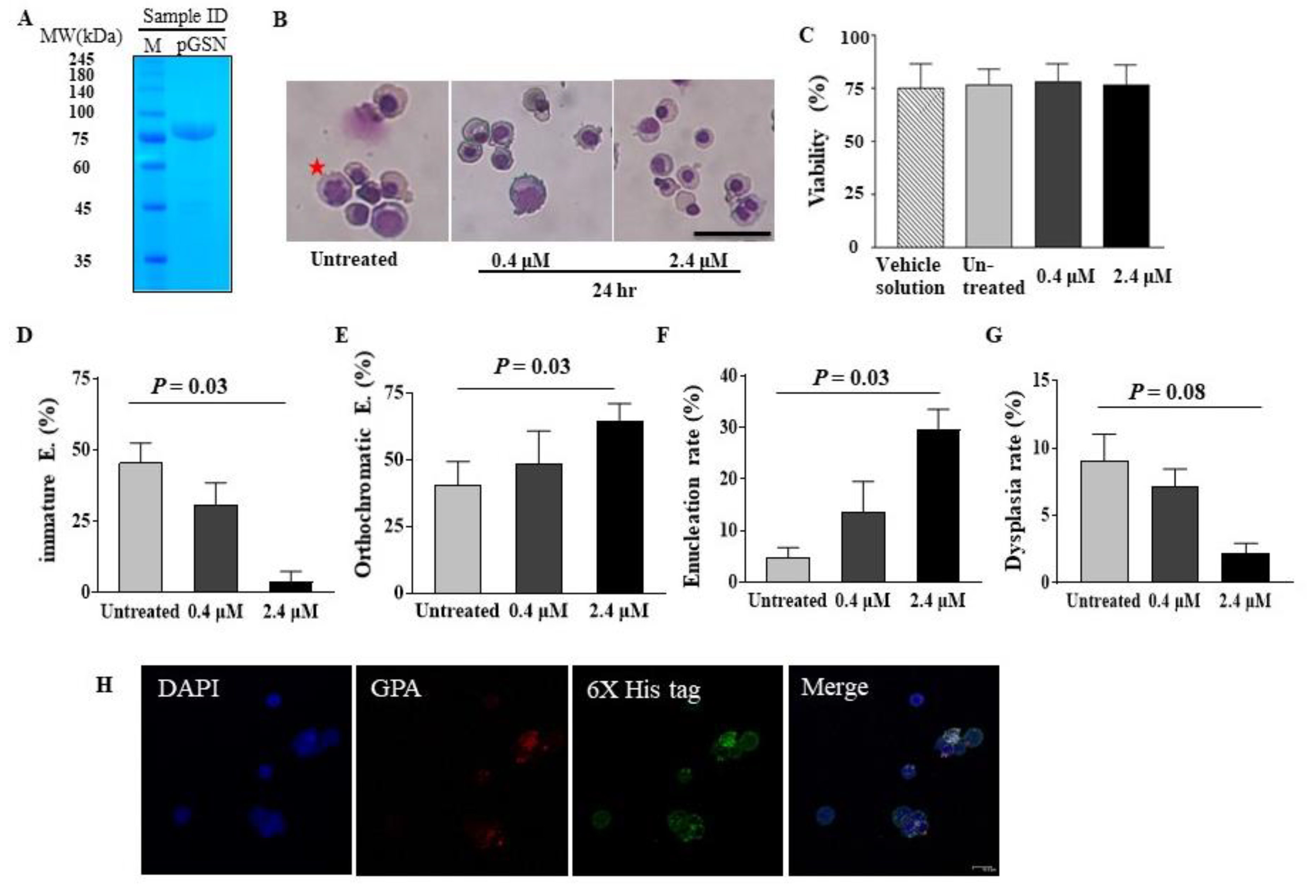 Ijms 21 07132 g001 Ijms 21 07132 g001