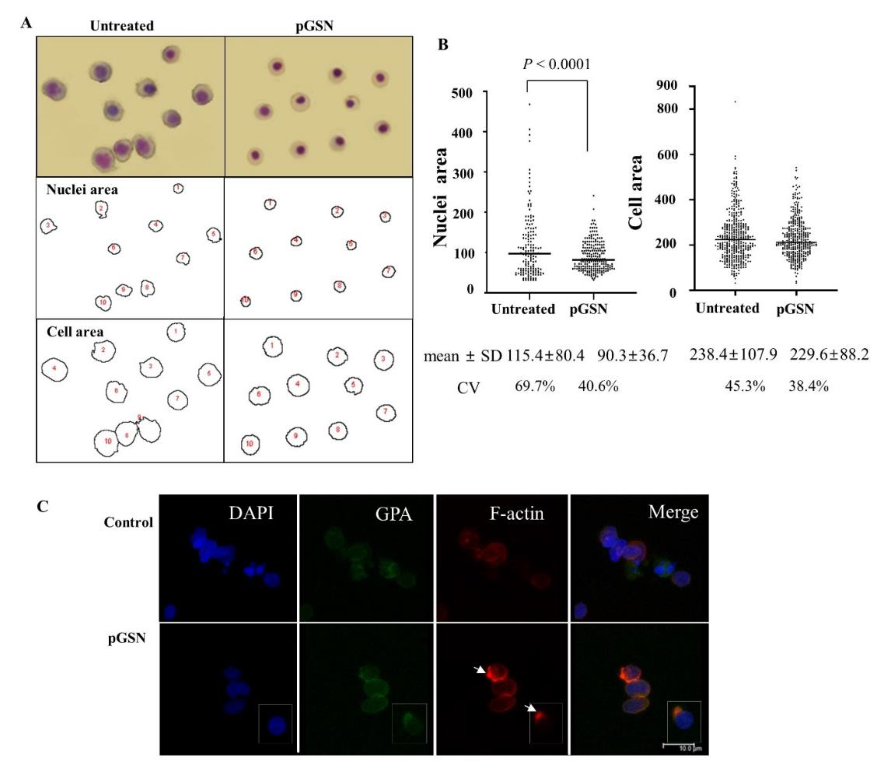 Ijms 21 07132 g002 Ijms 21 07132 g002