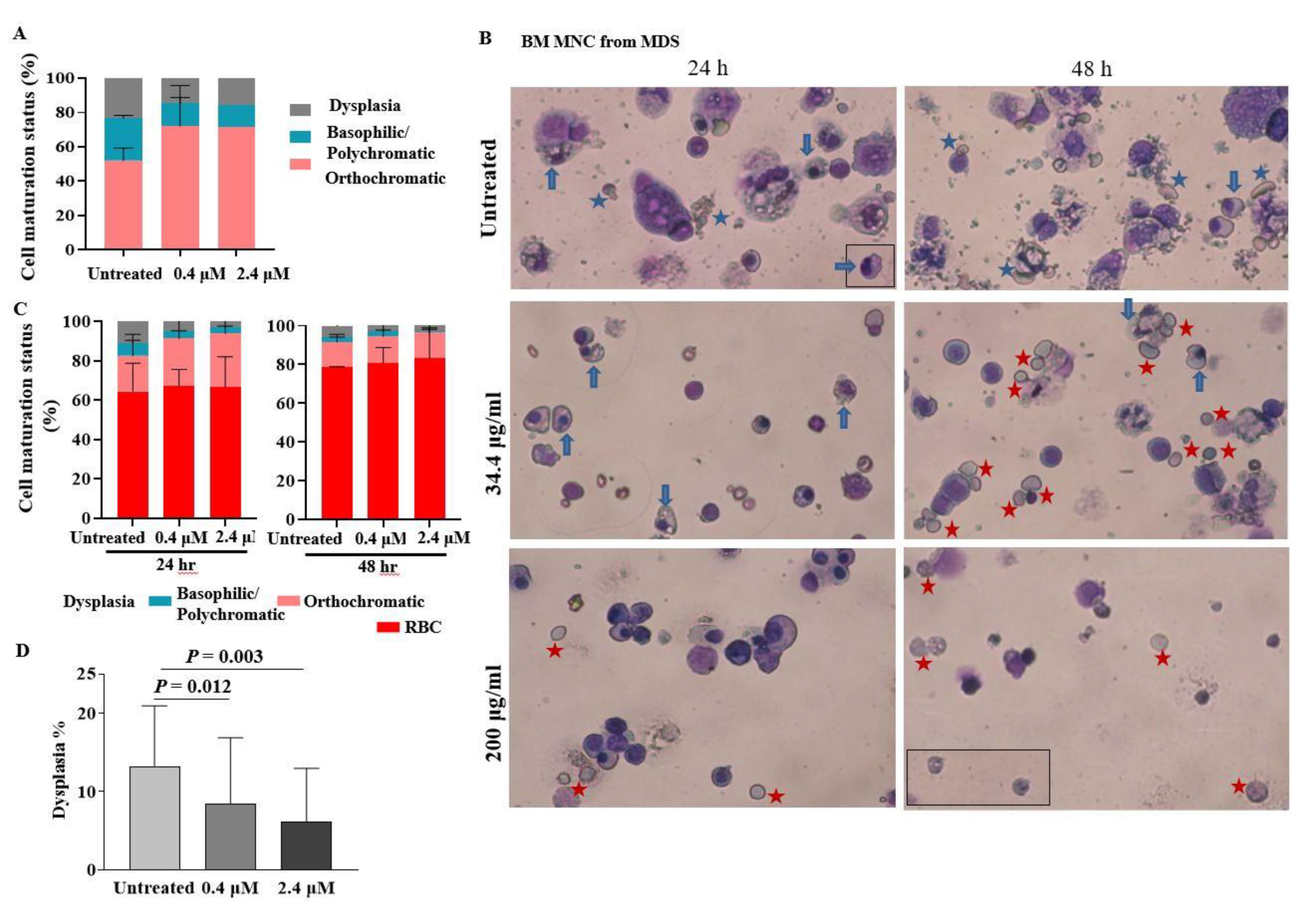 Ijms 21 07132 g003 Ijms 21 07132 g003