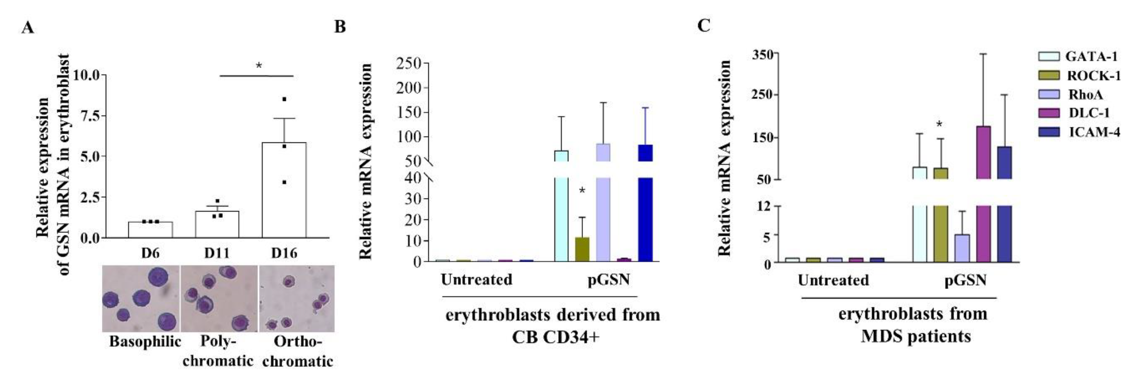 Ijms 21 07132 g005 Ijms 21 07132 g005