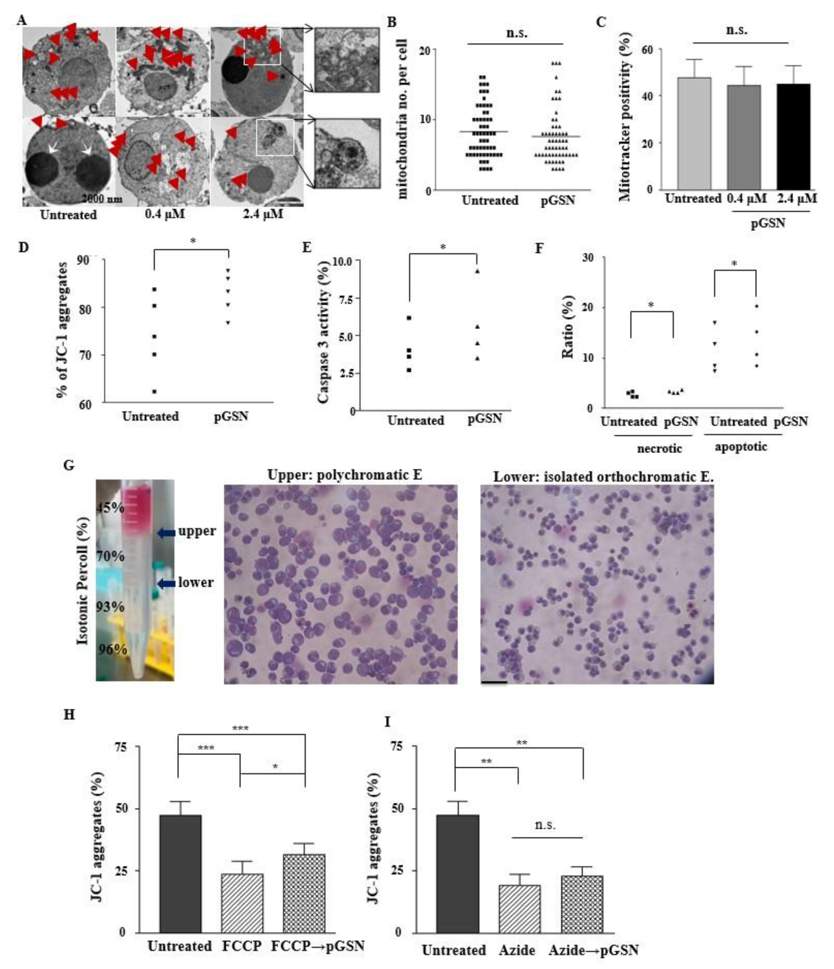Ijms 21 07132 g006 Ijms 21 07132 g006