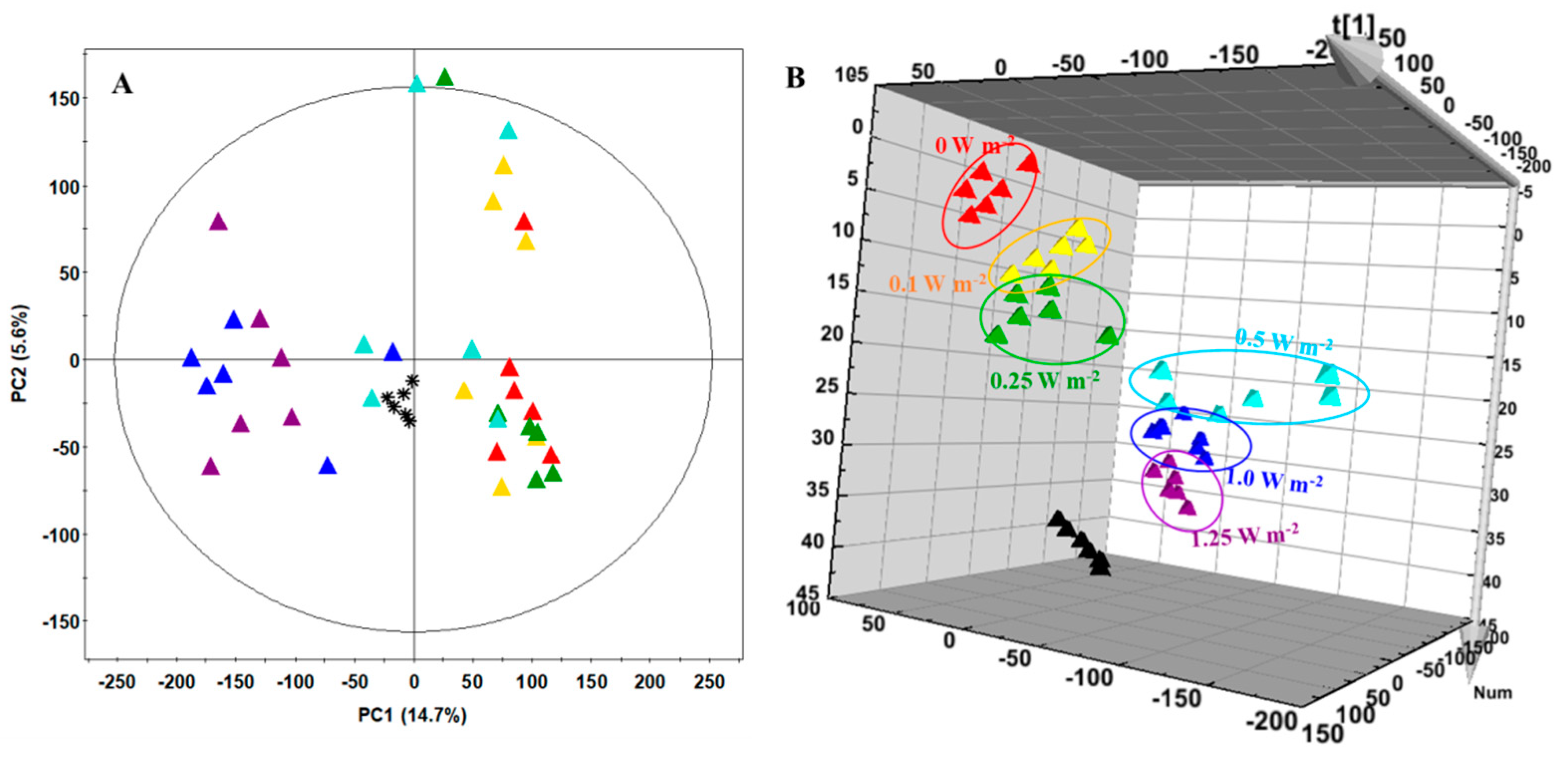 Ijms 21 07134 g006 Ijms 21 07134 g006
