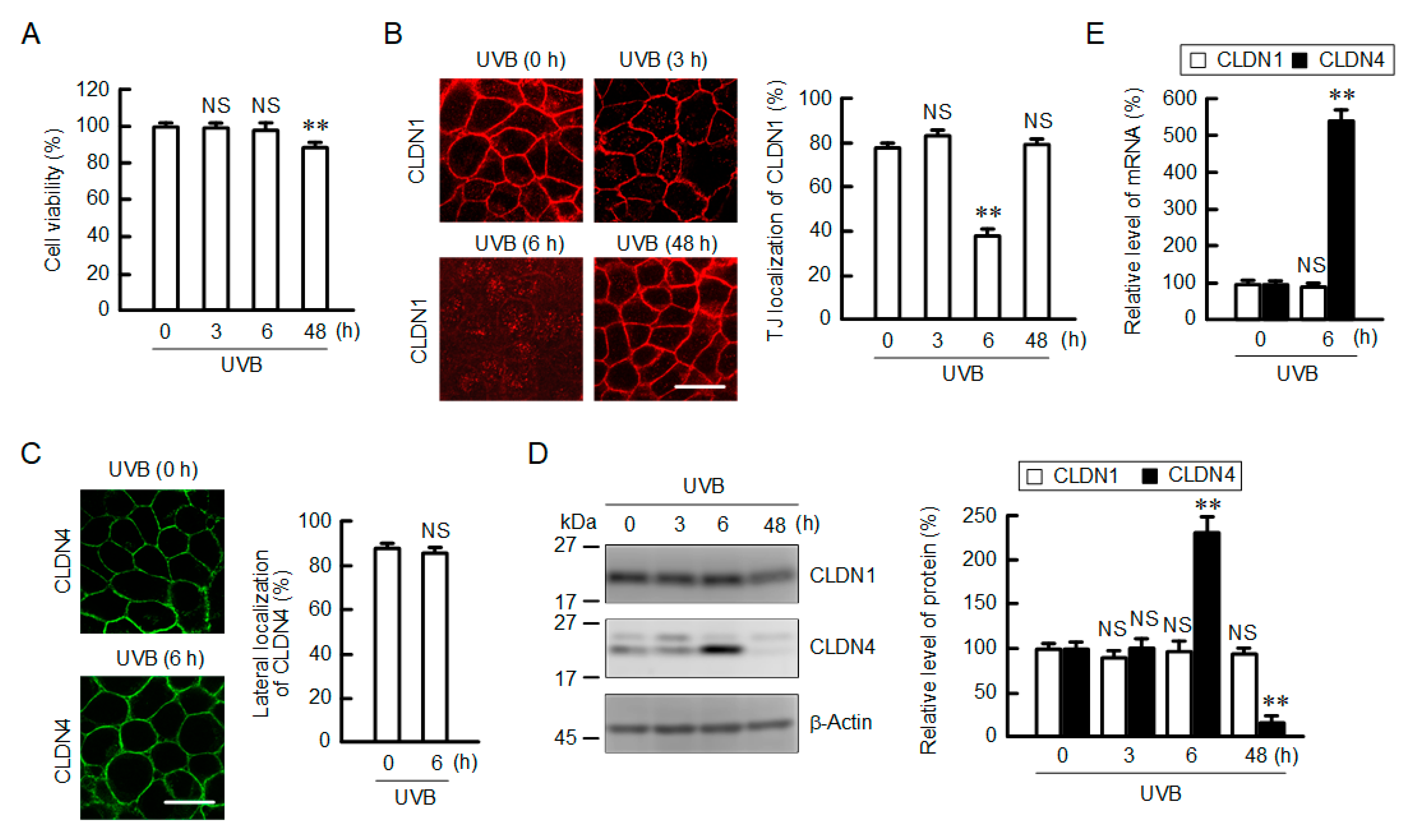 Ijms 21 07138 g001 Ijms 21 07138 g001
