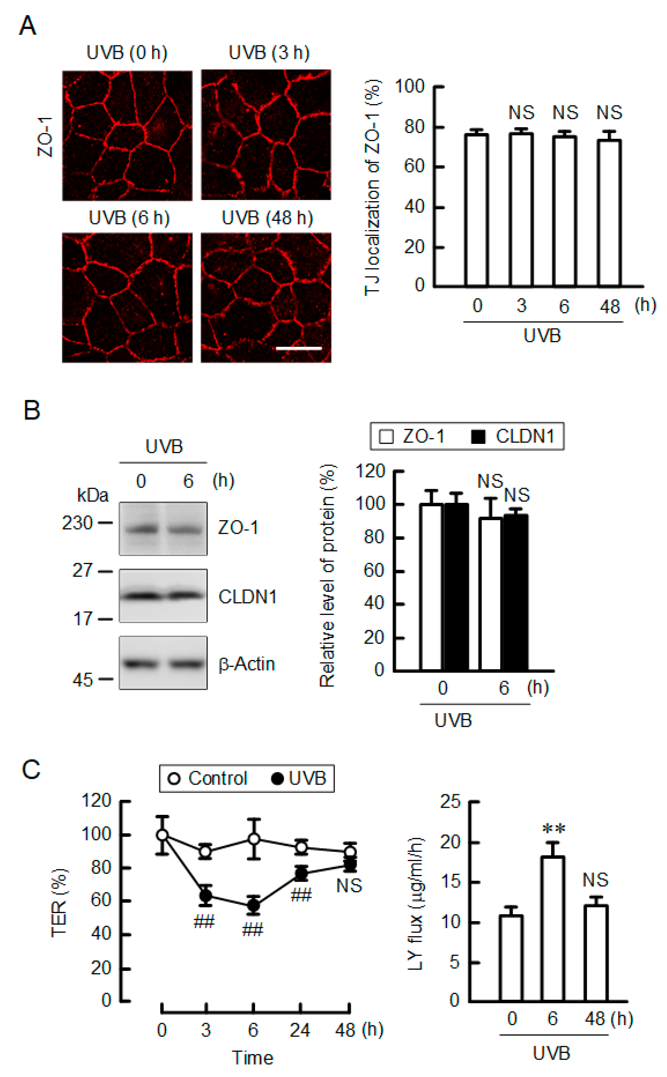 Ijms 21 07138 g002 Ijms 21 07138 g002